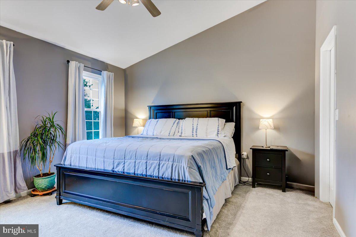 SYCAMORE MEWS - Residential