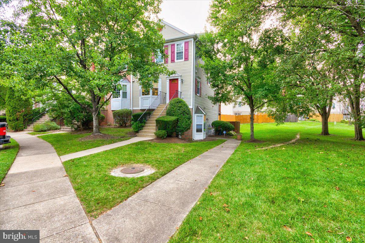 SYCAMORE MEWS - Residential