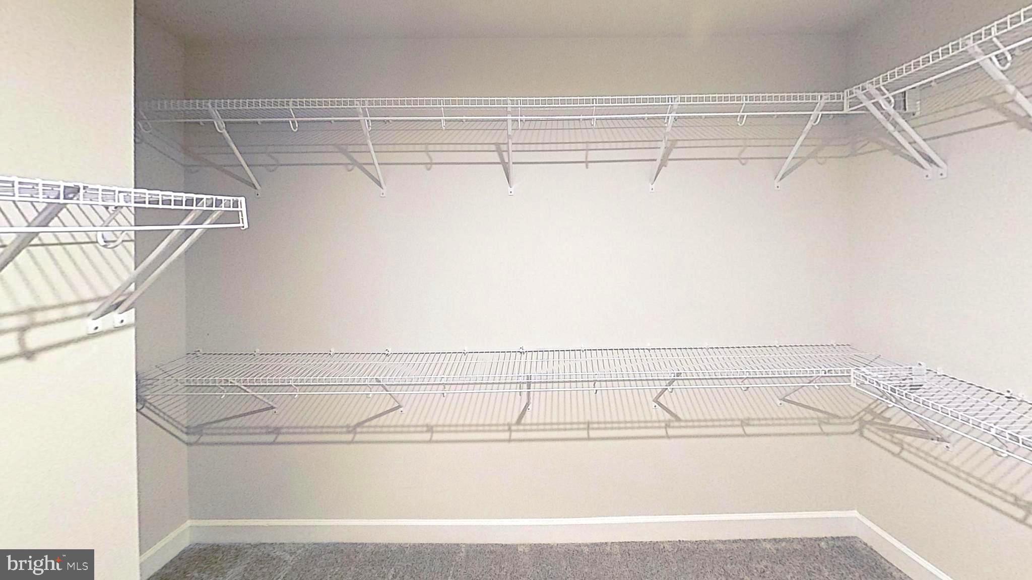 HAMILTON PARK - Residential