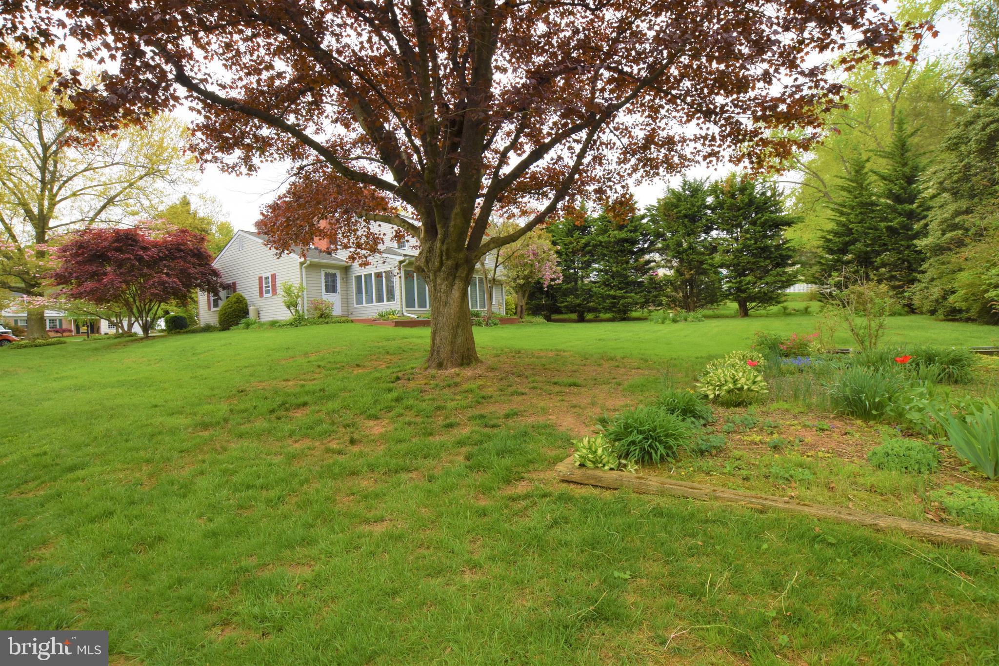WINCHESTER PARK - Residential
