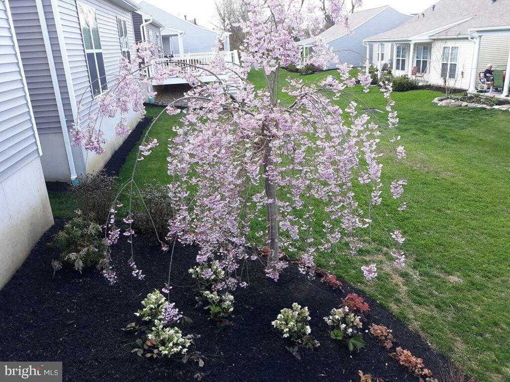 HERITAGE STRASBURG - Residential