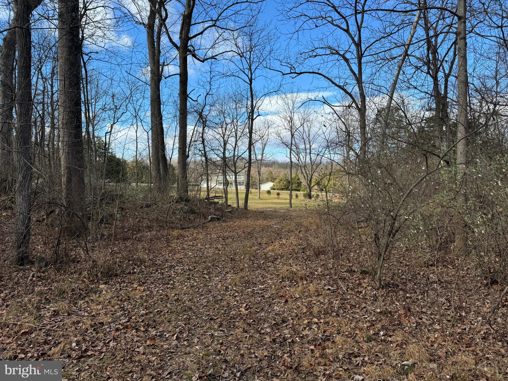 POTOMAC RIVER FARMS - Land