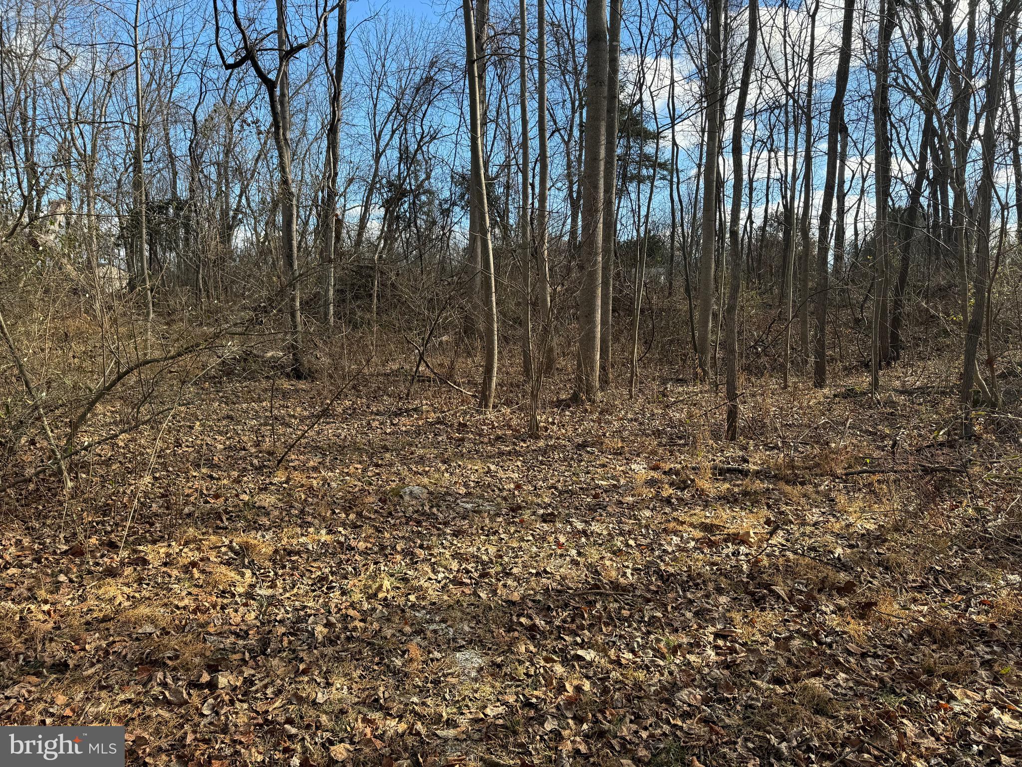 POTOMAC RIVER FARMS - Land