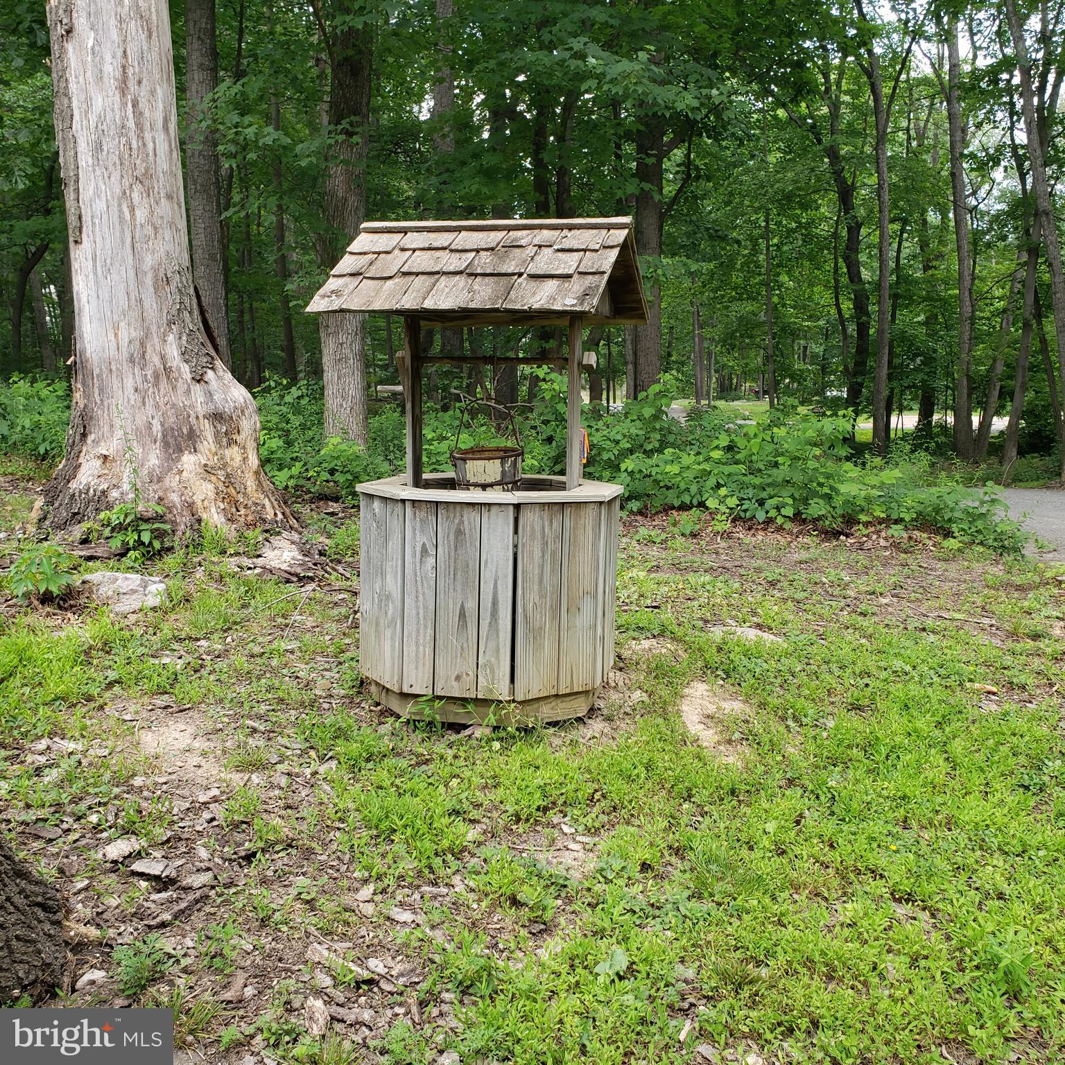 MOUNTAIN FALLS PARK - Residential