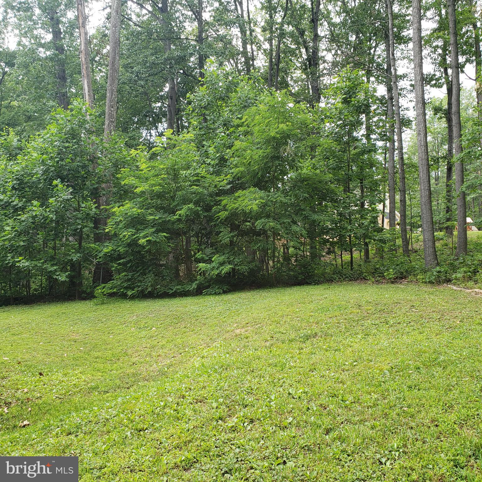 MOUNTAIN FALLS PARK - Residential