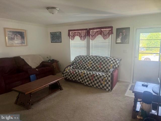 DEER MEADOW - Residential