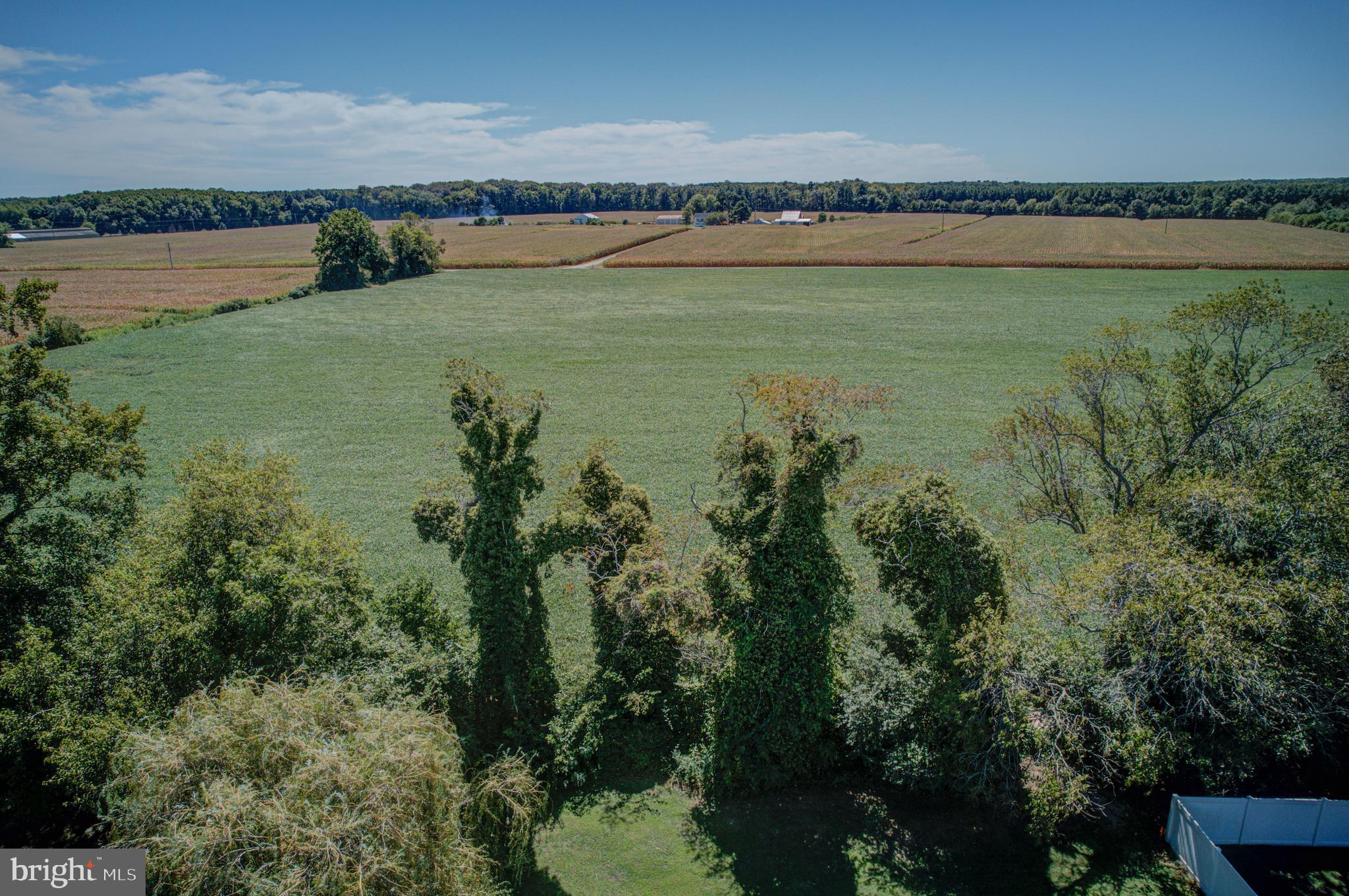 FRANKLIN KNOLL - Residential