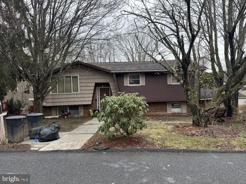 31 DEER PARK DRIVE POTTSVILLE PA 17901
