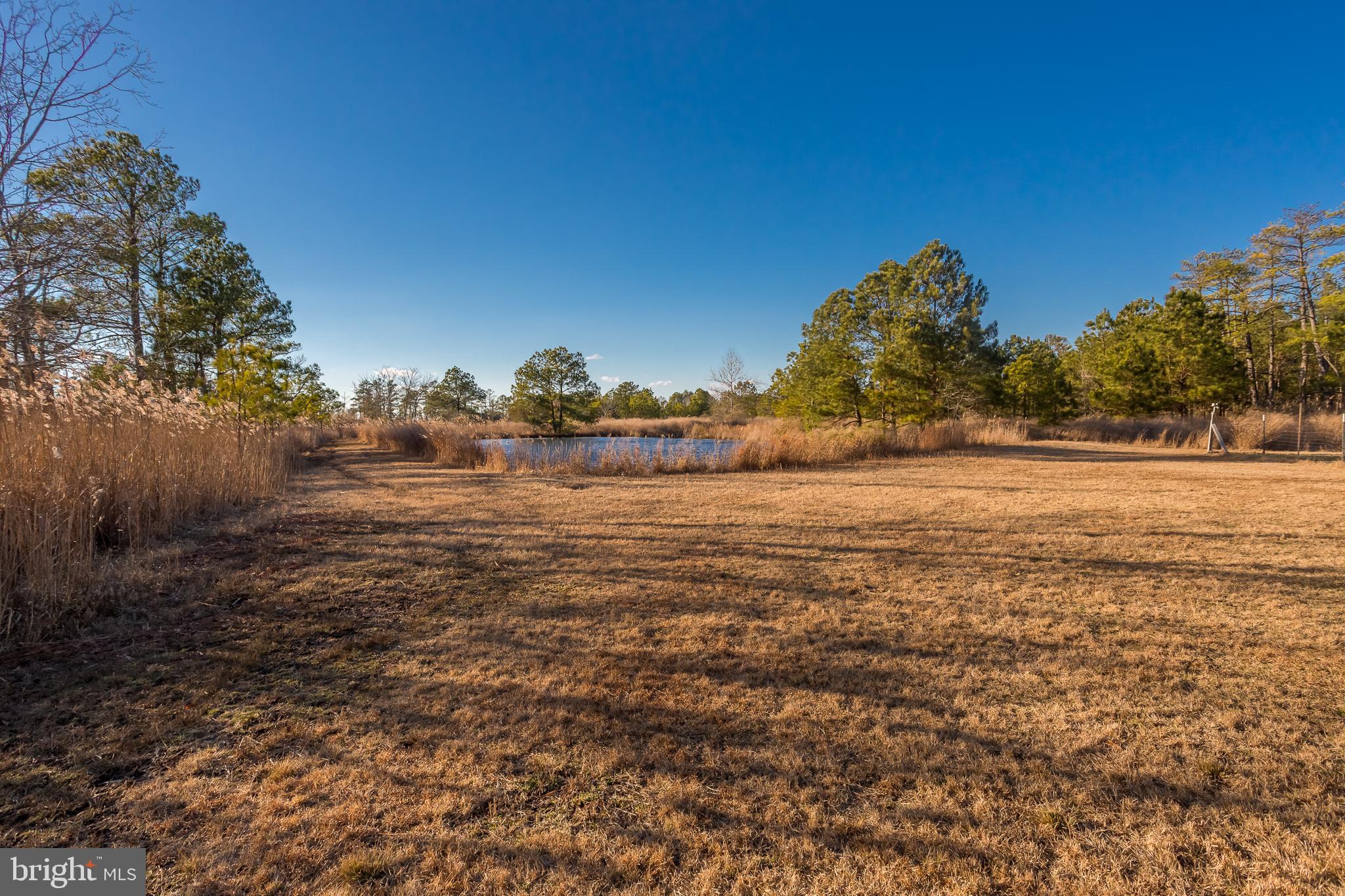 MAPLE DAM - Residential