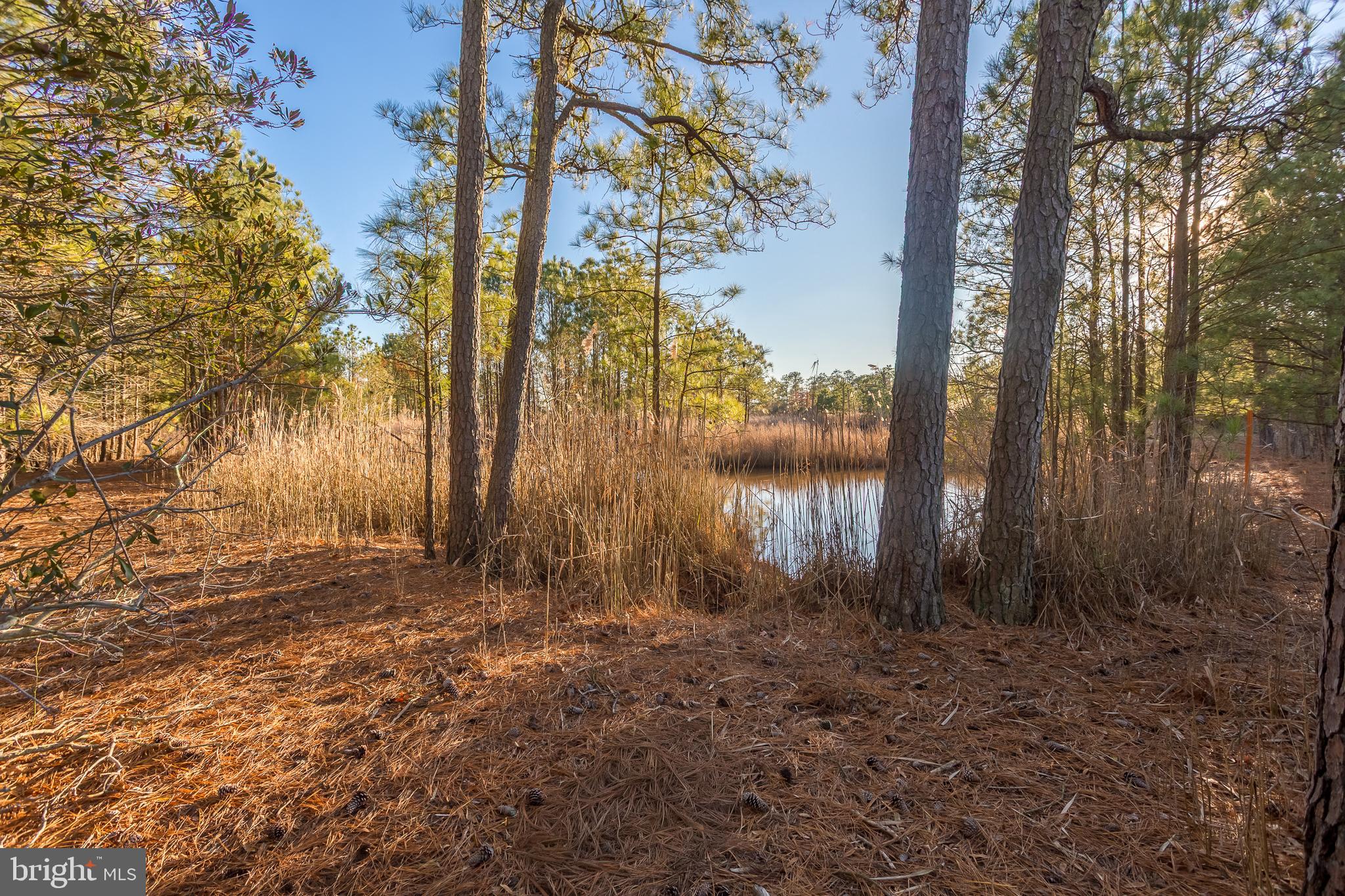 MAPLE DAM - Residential