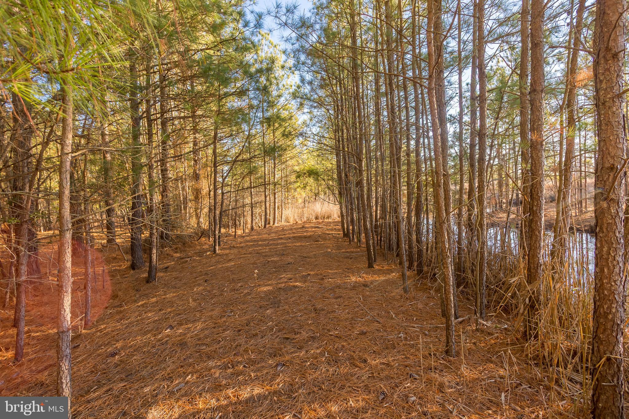 MAPLE DAM - Residential