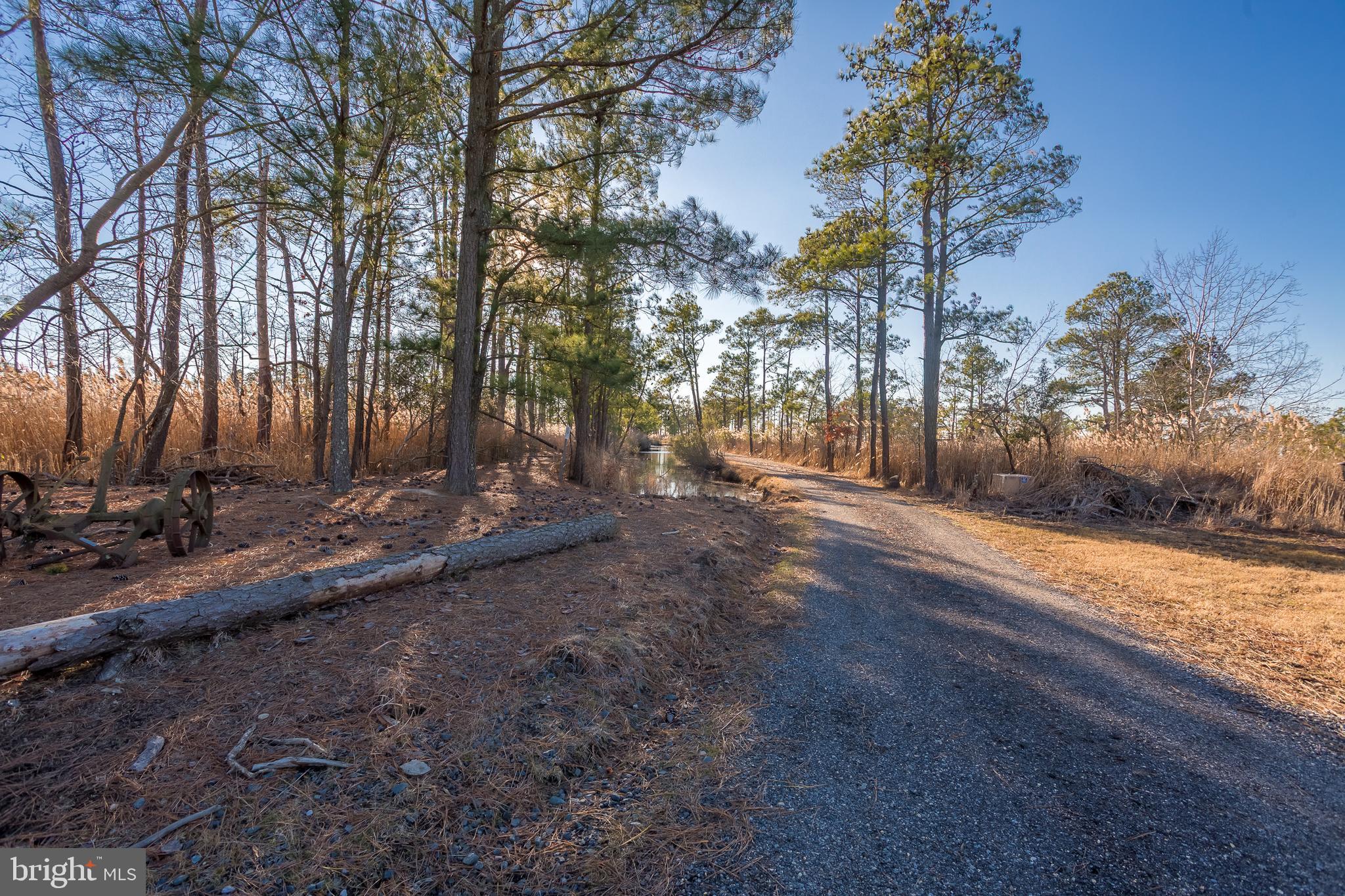 MAPLE DAM - Residential