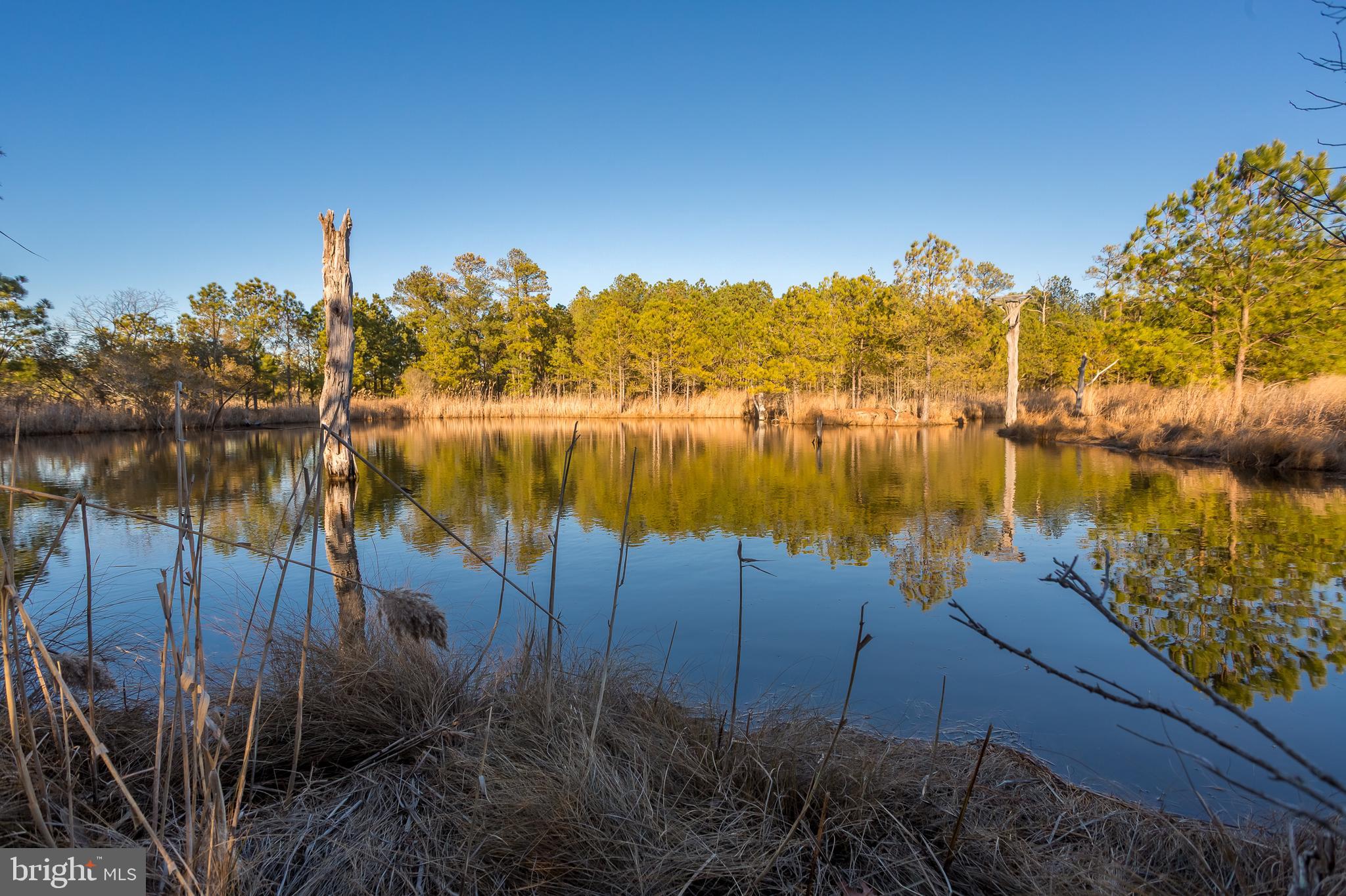 MAPLE DAM - Residential