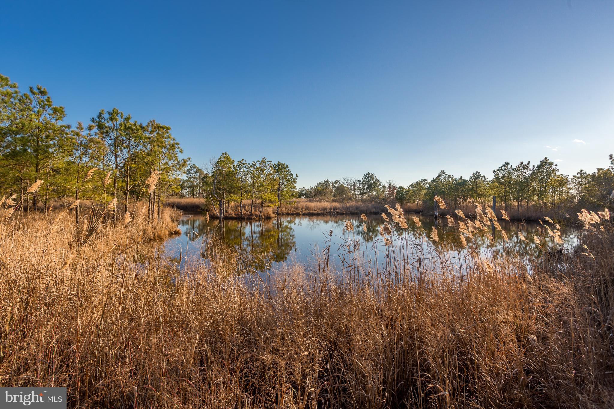 MAPLE DAM - Residential