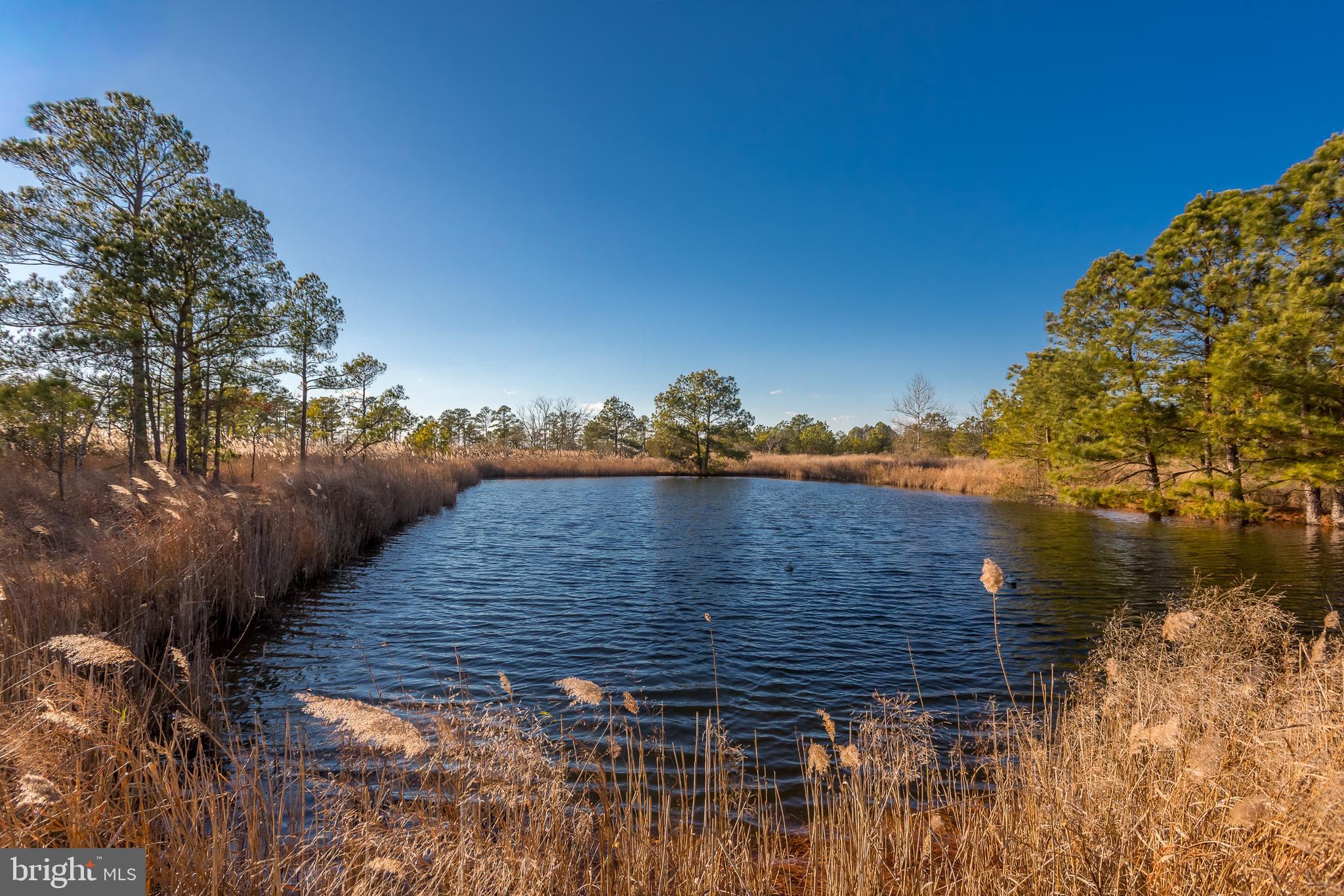 MAPLE DAM - Residential