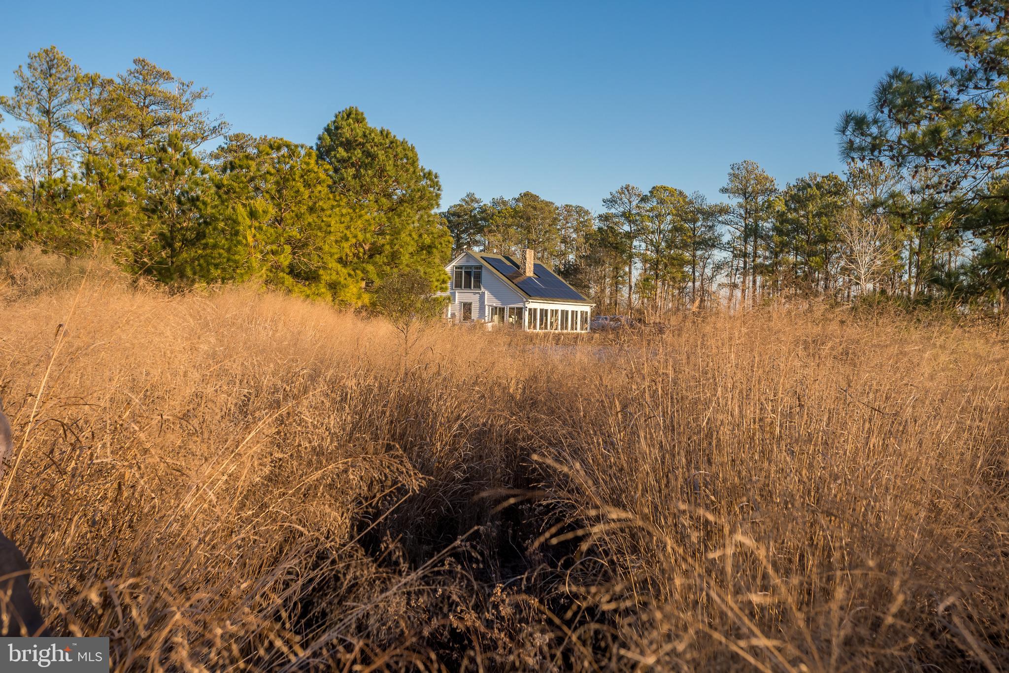 MAPLE DAM - Residential