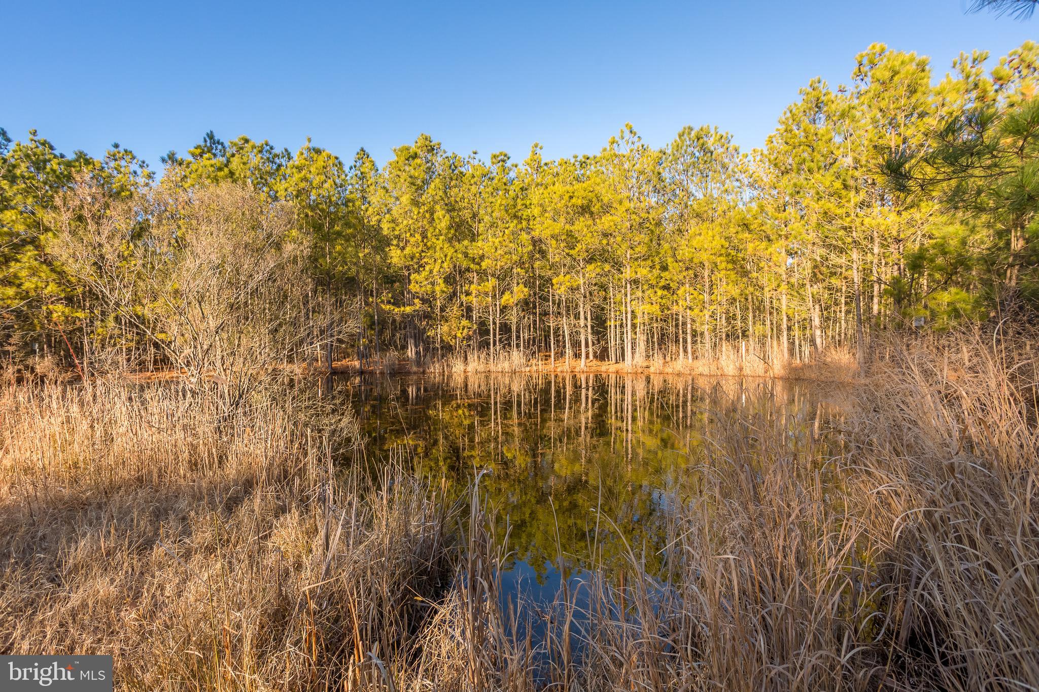 MAPLE DAM - Residential