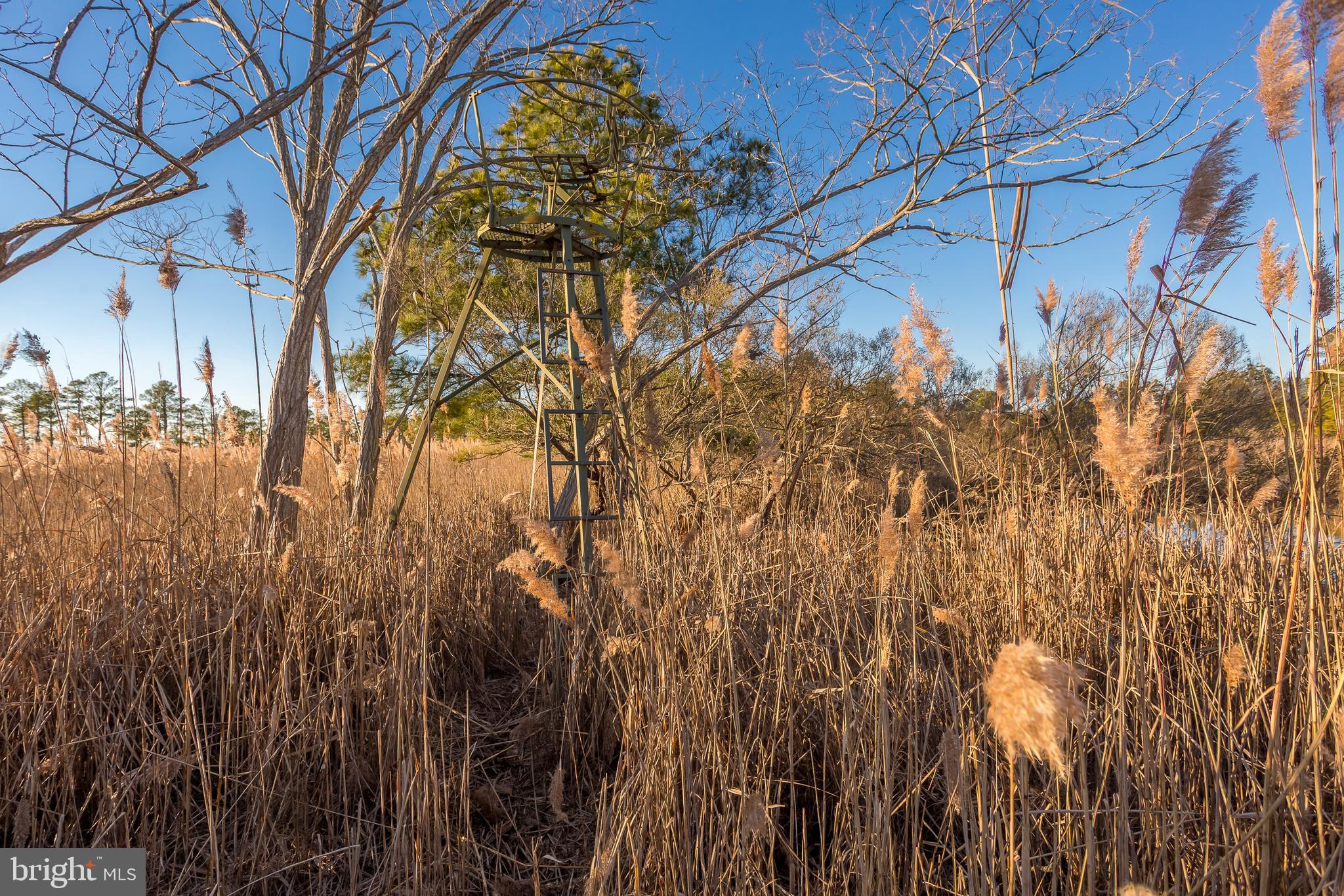 MAPLE DAM - Residential