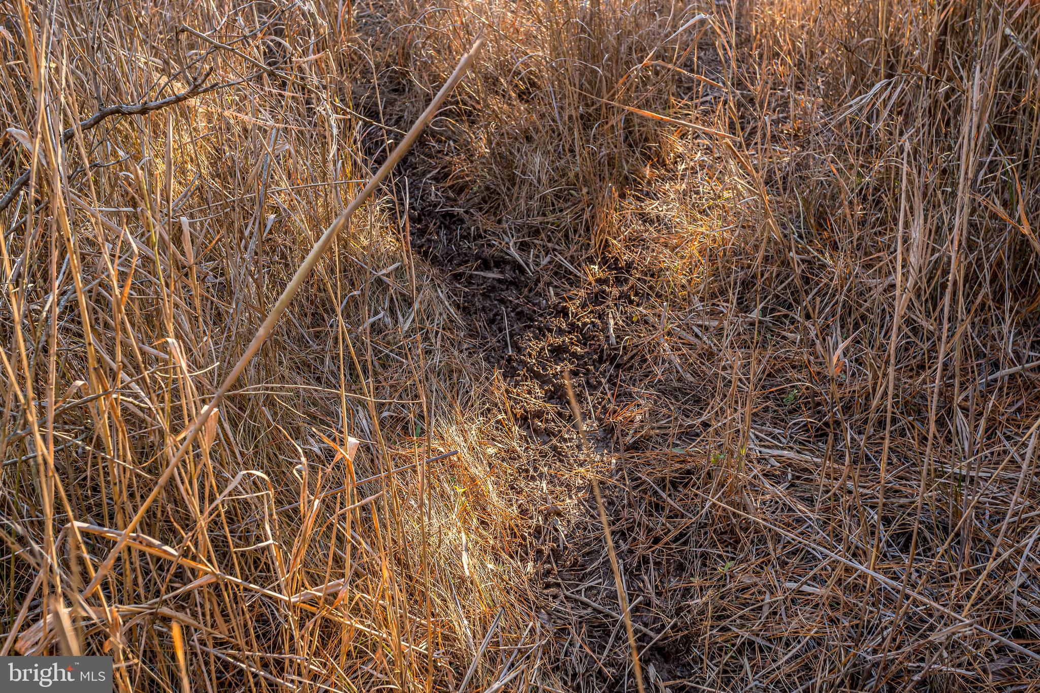 MAPLE DAM - Residential