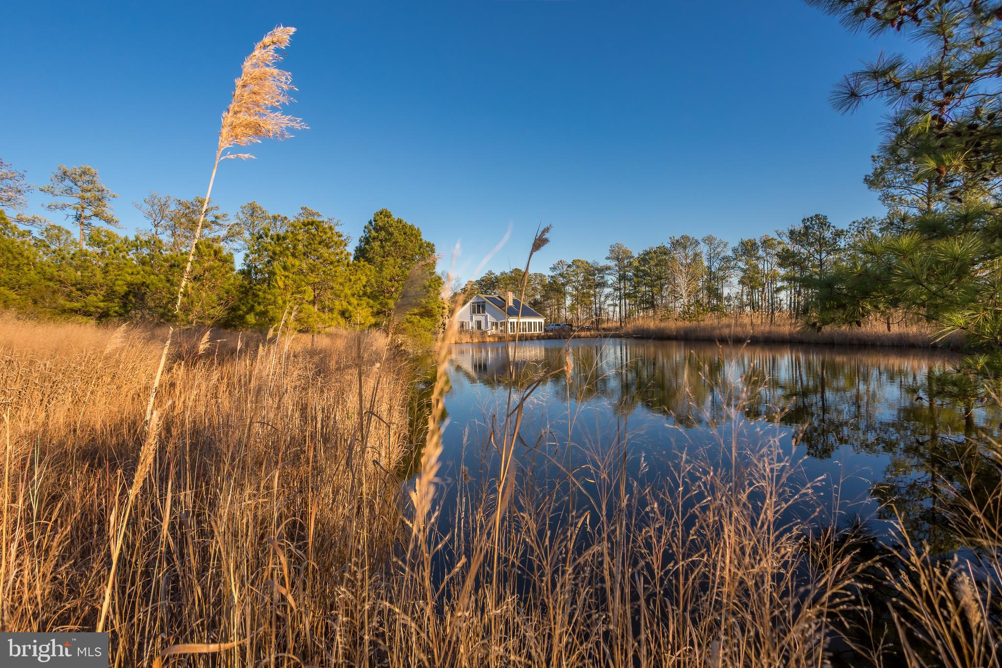 MAPLE DAM - Residential