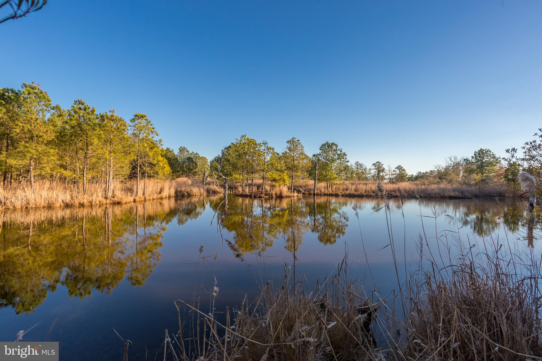 MAPLE DAM - Residential
