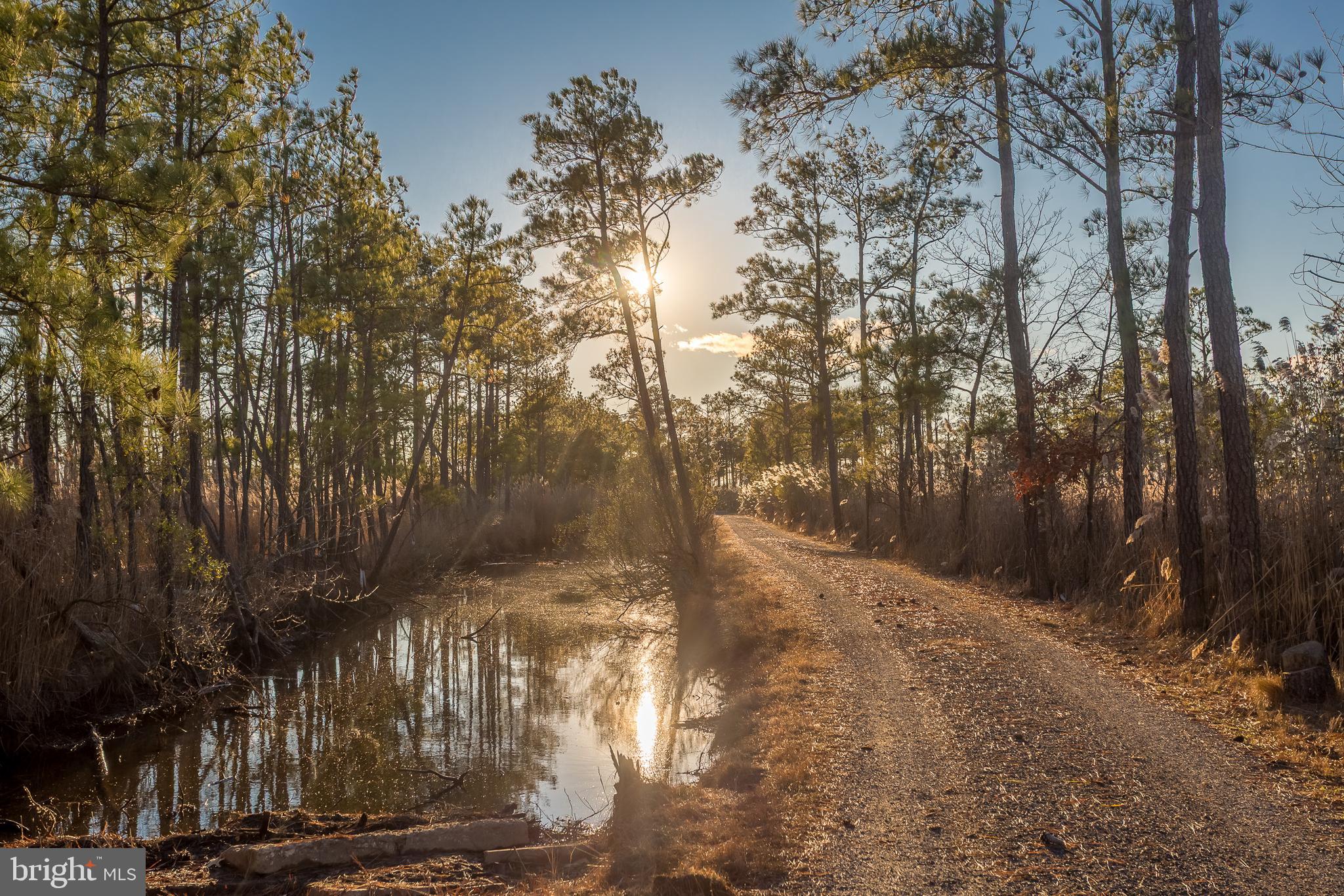 MAPLE DAM - Residential
