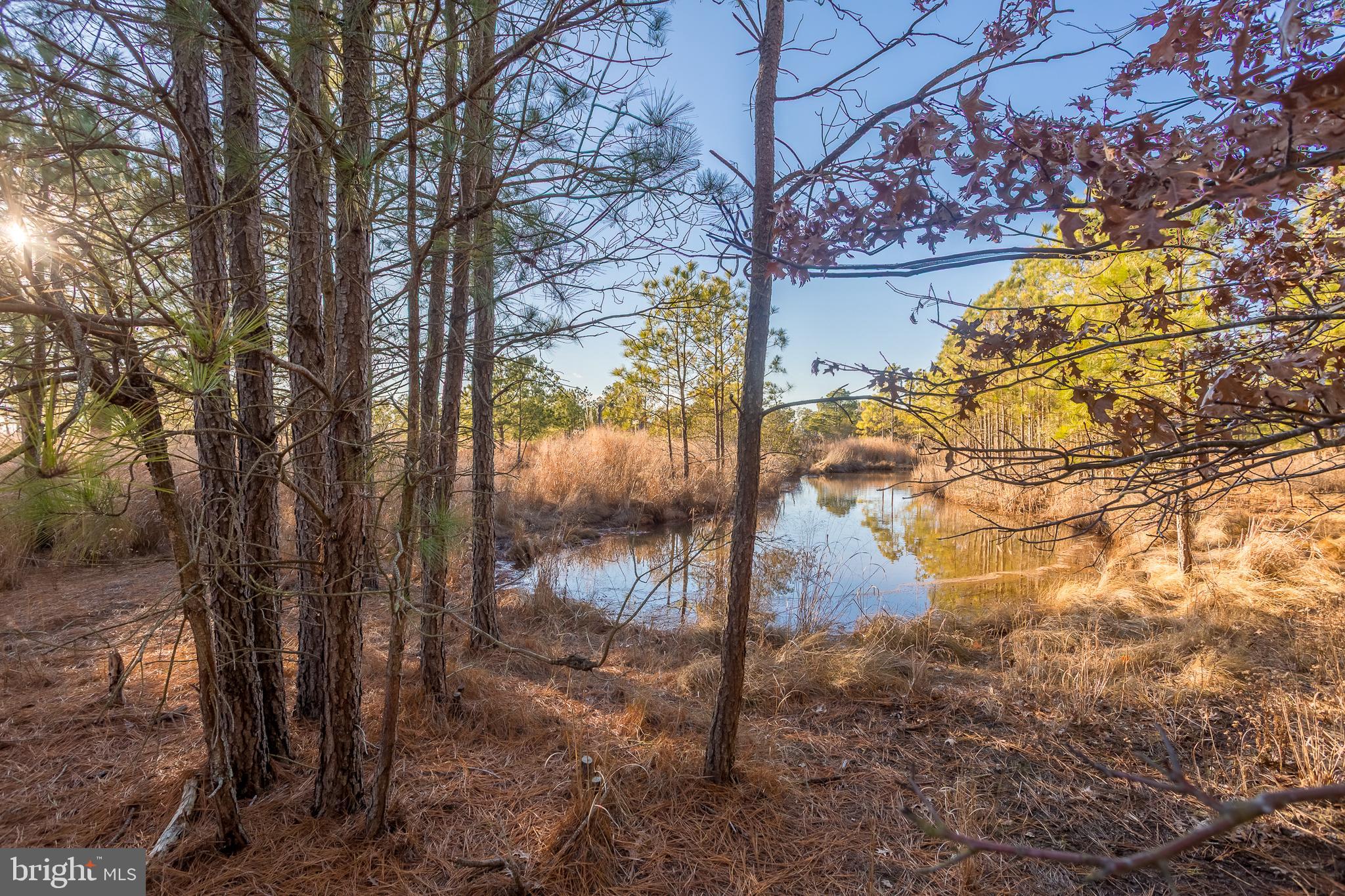 MAPLE DAM - Residential