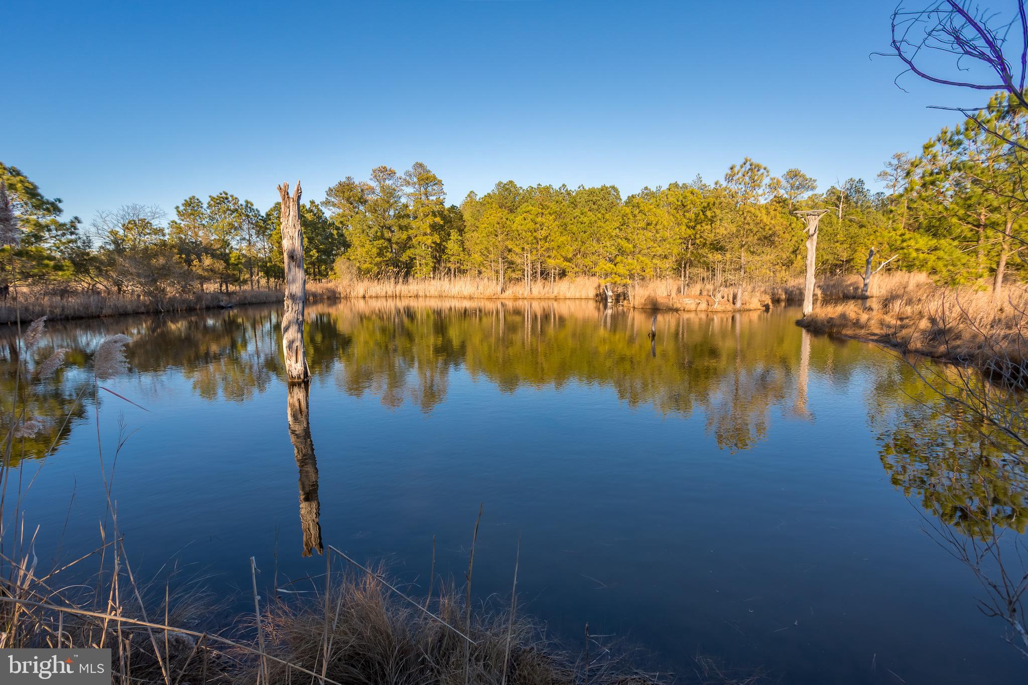 MAPLE DAM - Residential