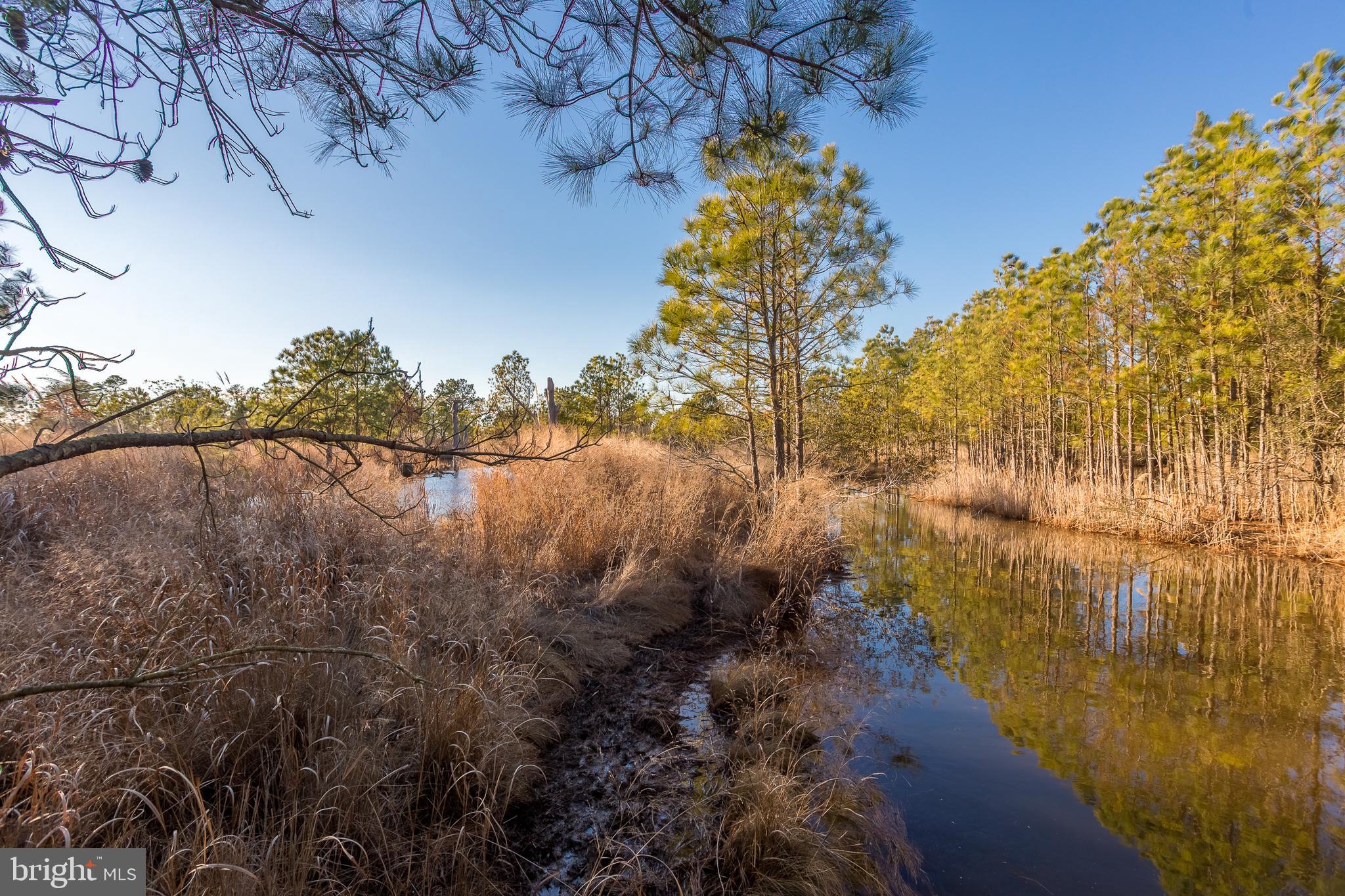 MAPLE DAM - Residential