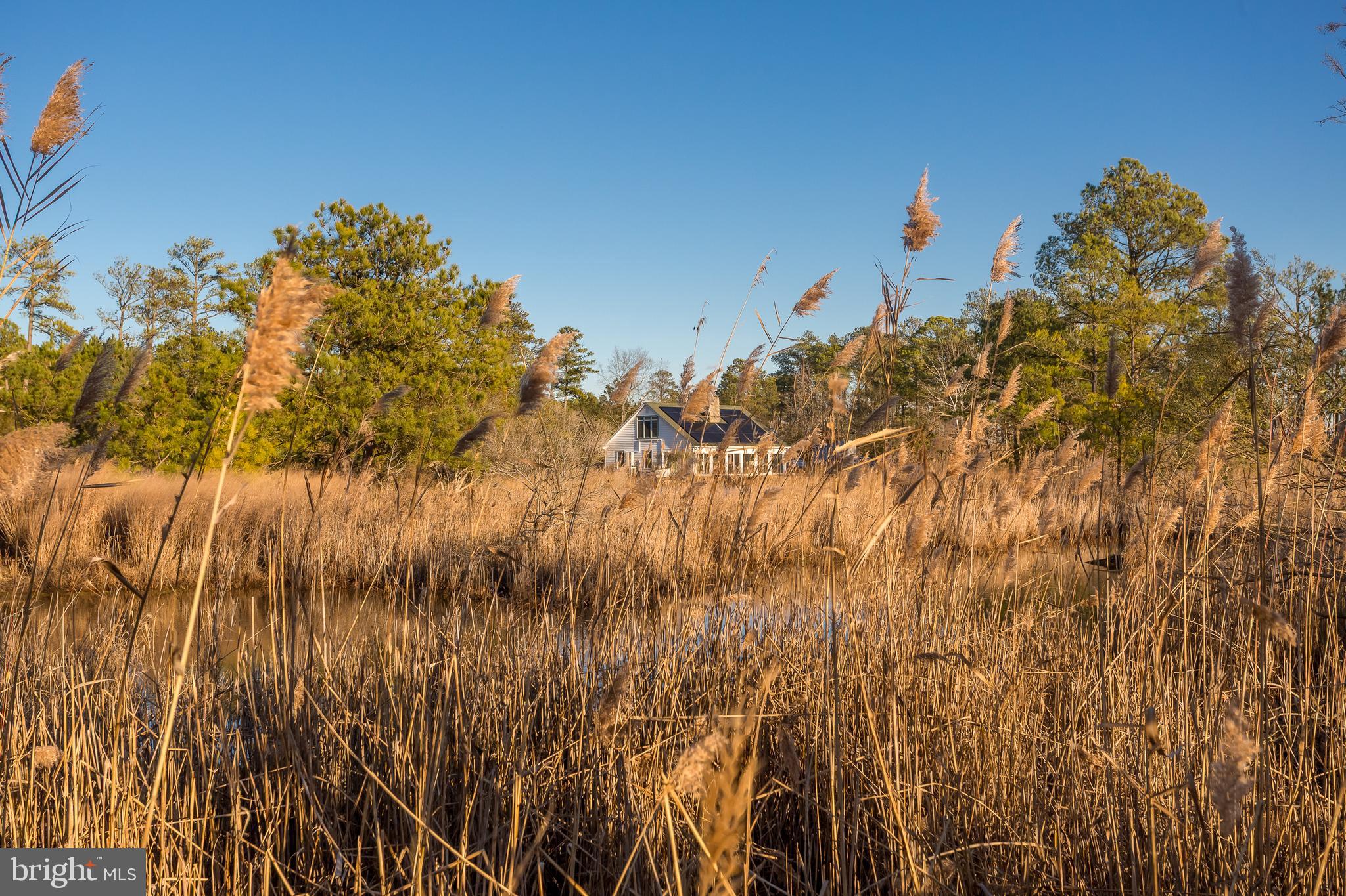 MAPLE DAM - Residential
