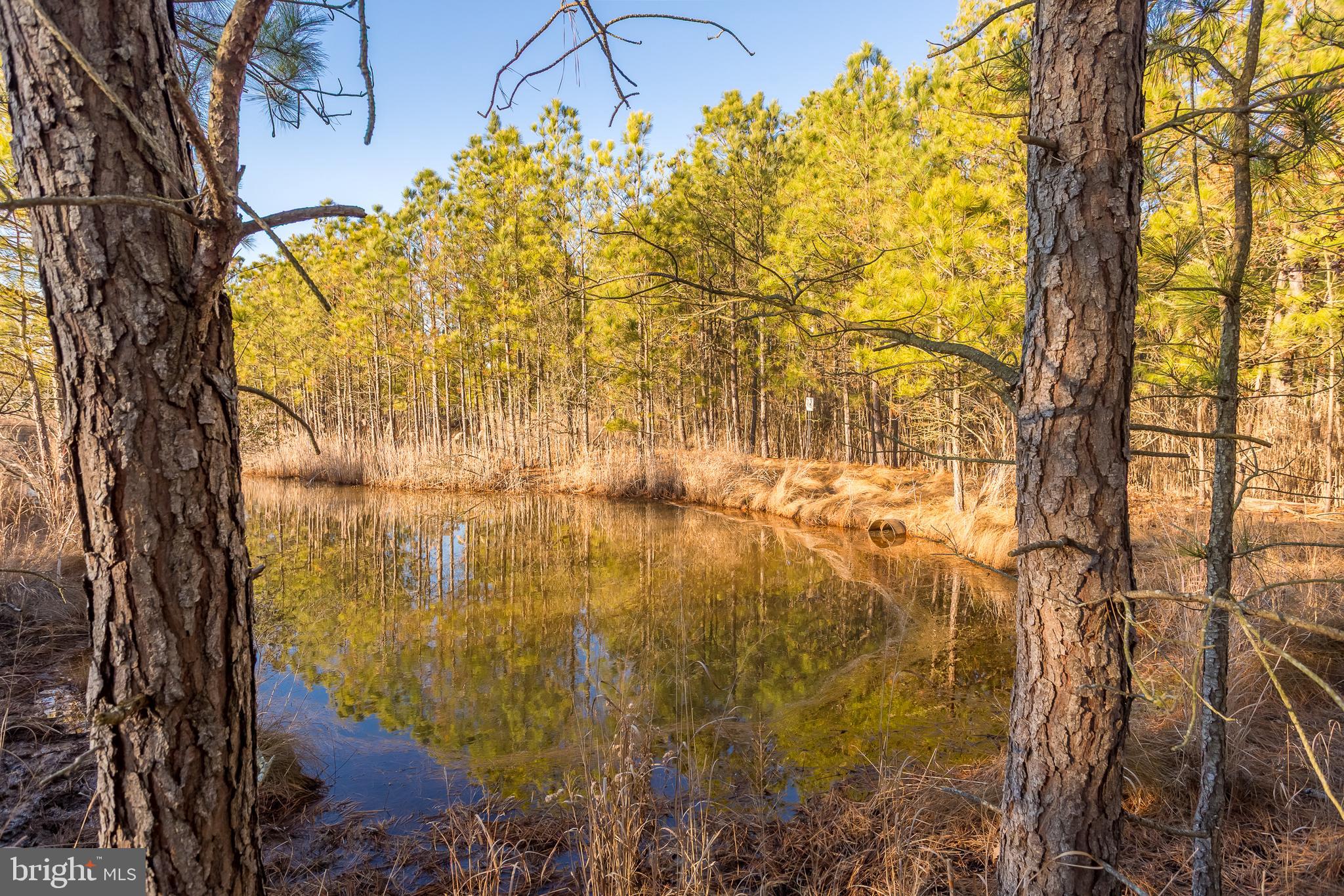 MAPLE DAM - Residential