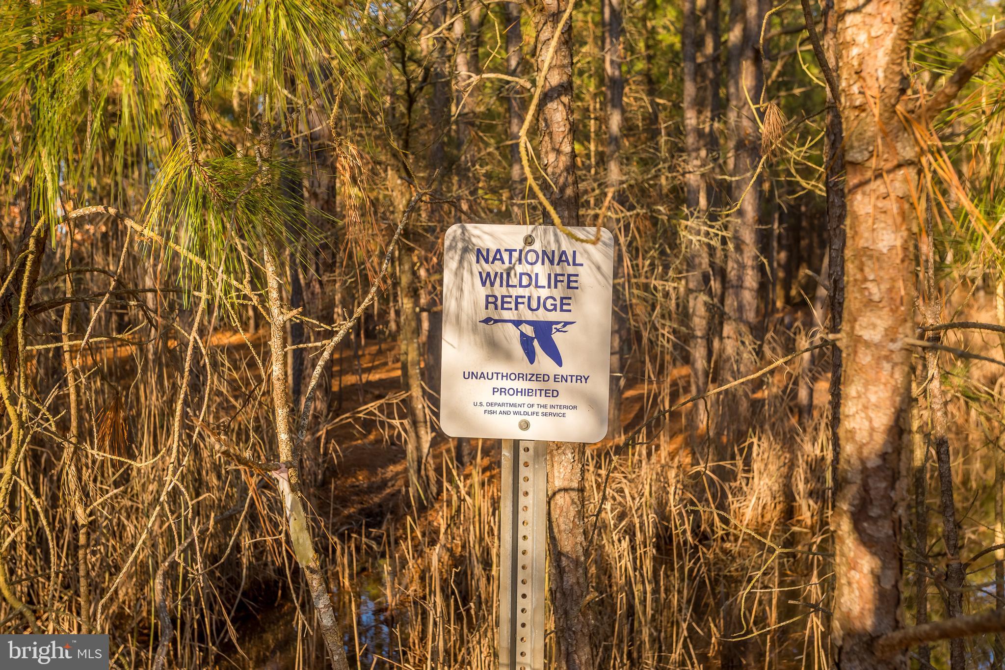 MAPLE DAM - Residential