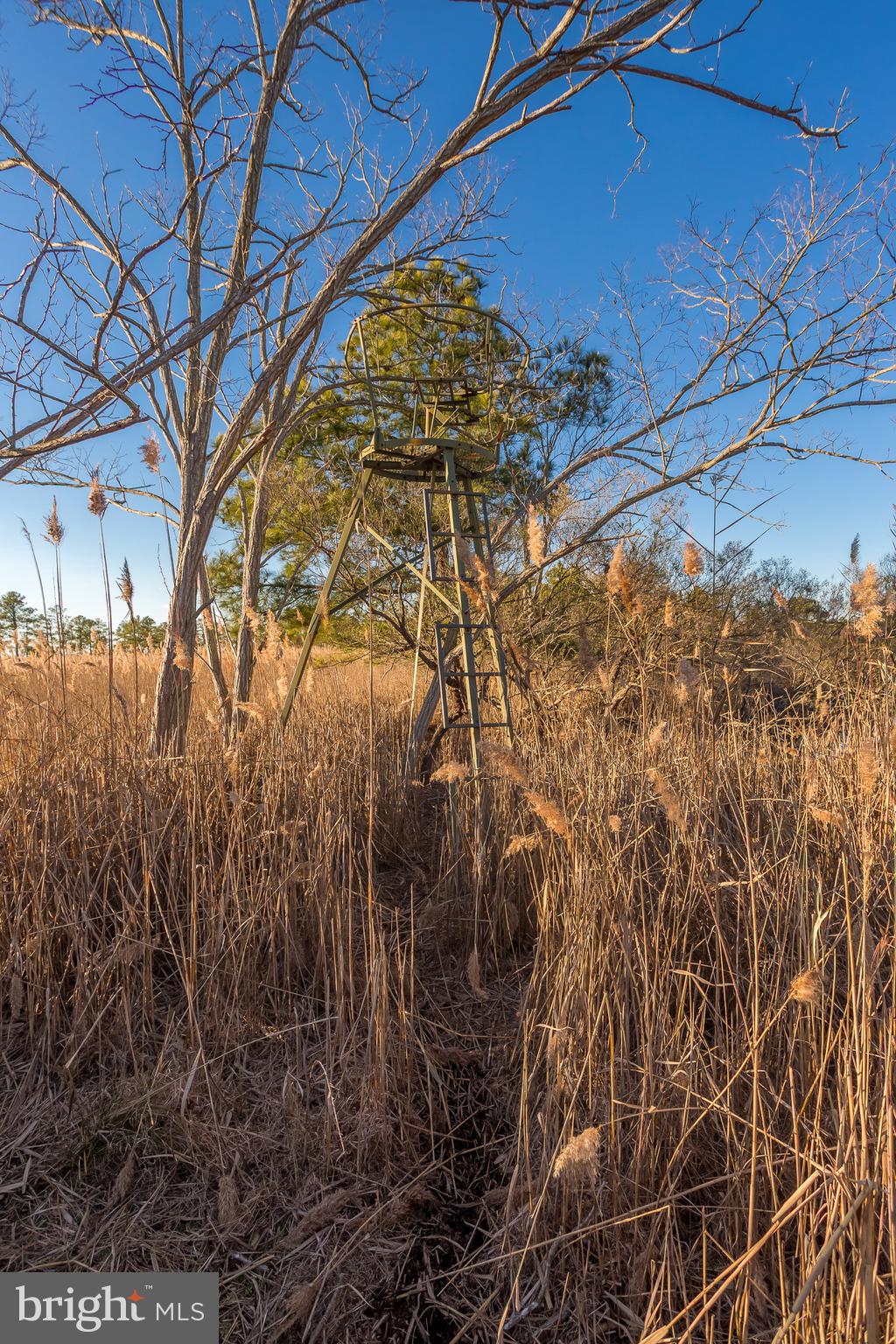 MAPLE DAM - Residential