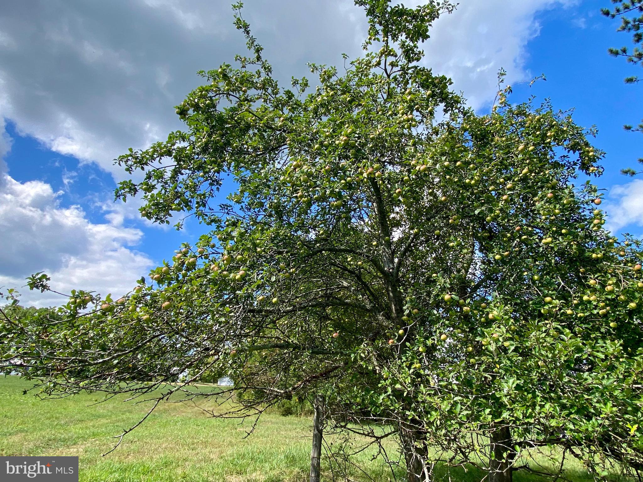 GRANTSVILLE - Residential