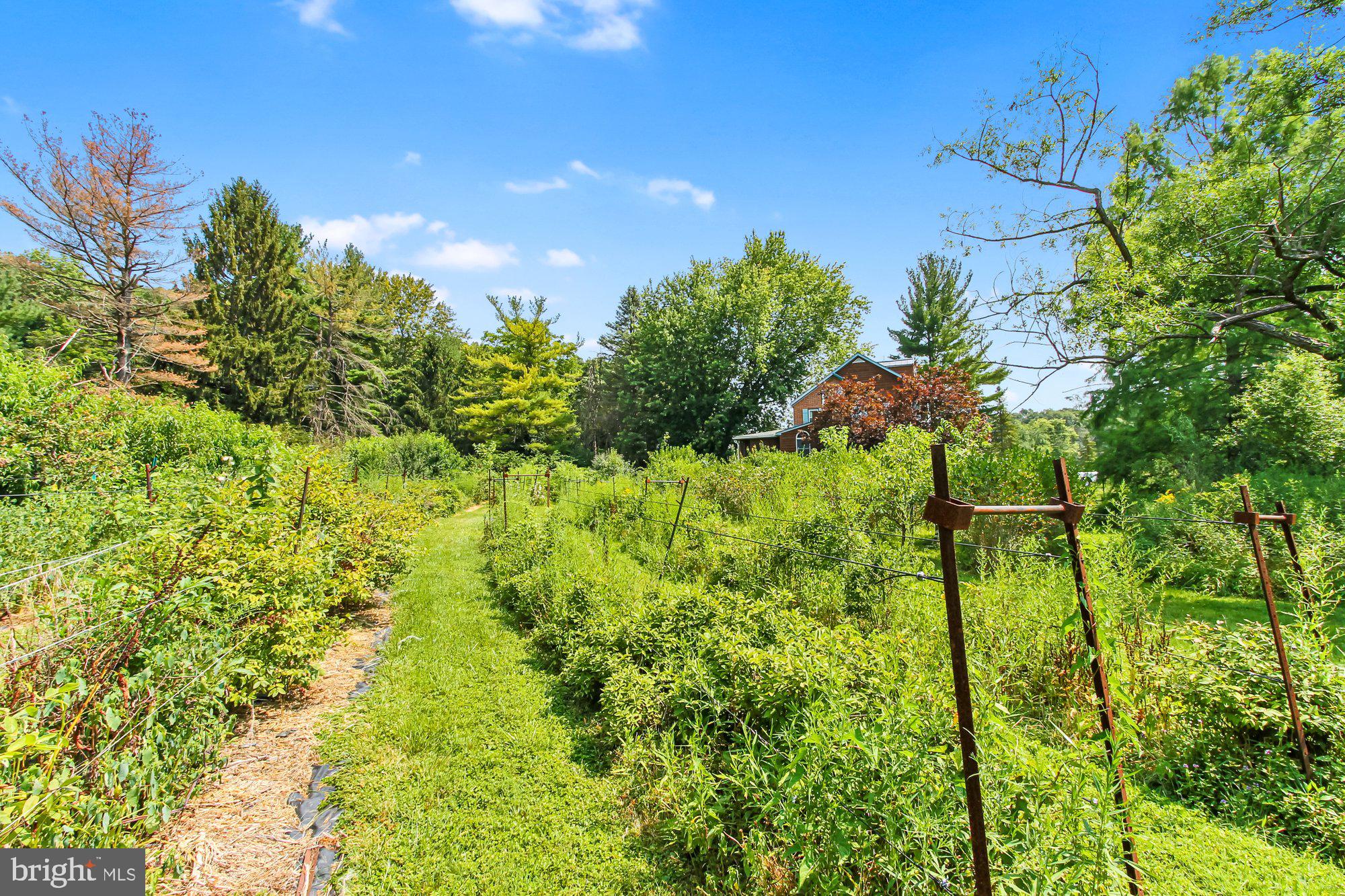 NONE AVAILABLE - Farm