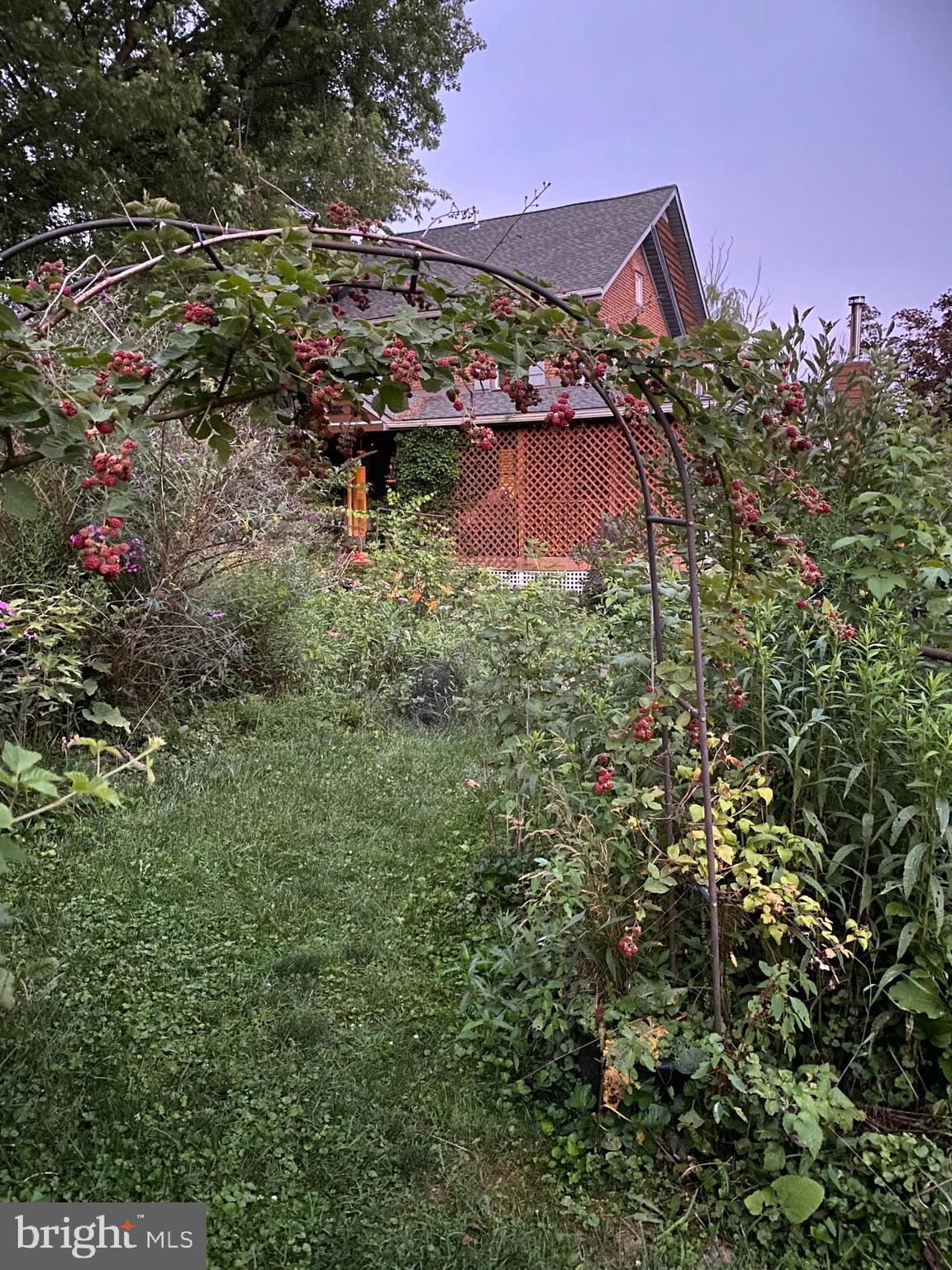 NONE AVAILABLE - Farm