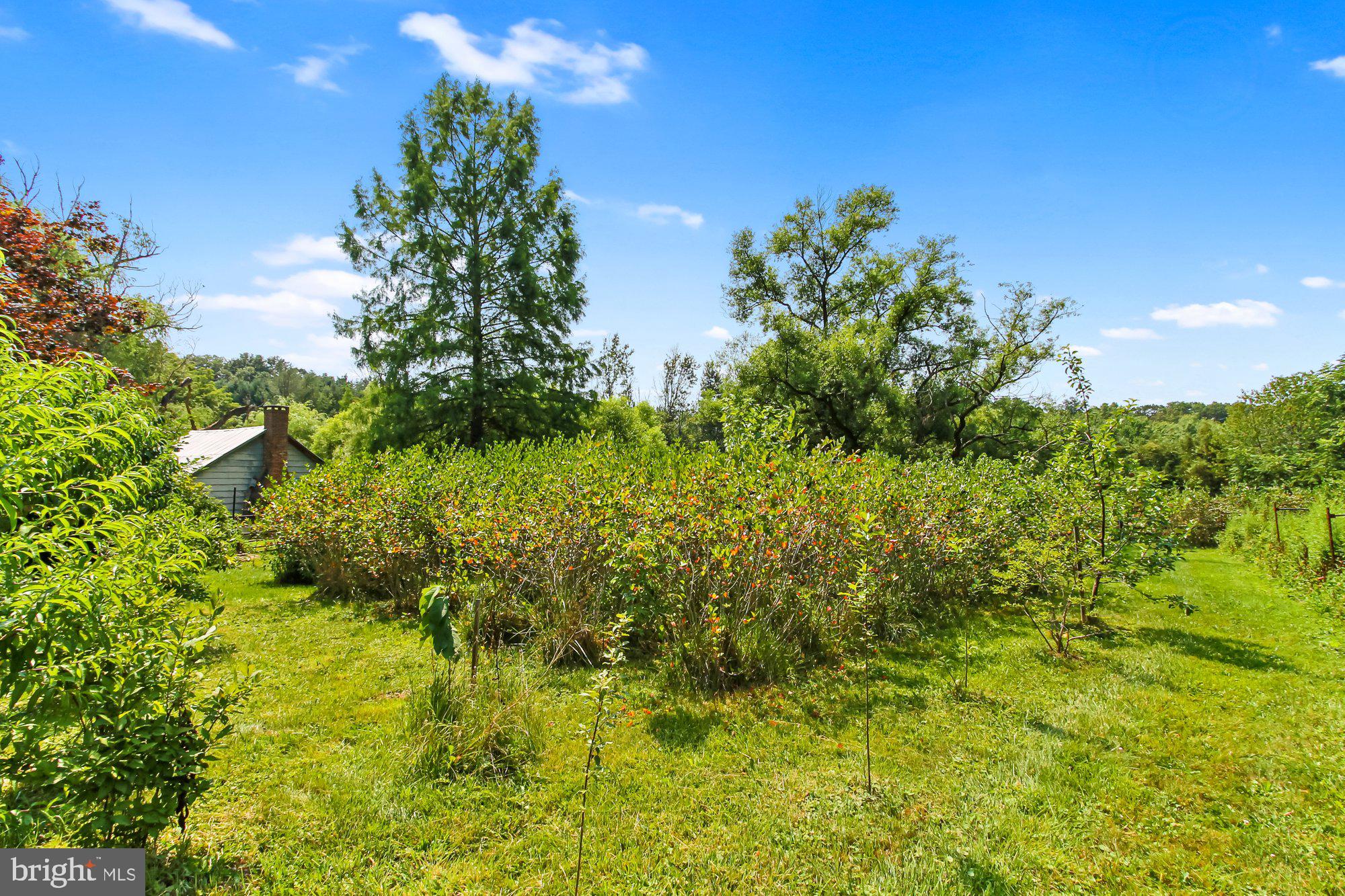 NONE AVAILABLE - Farm