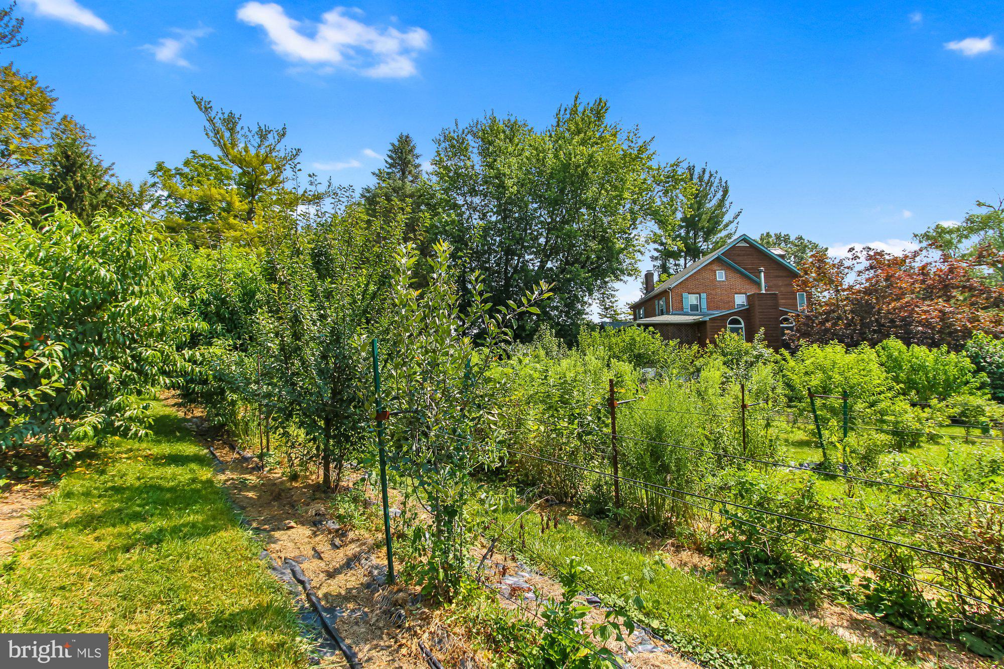 NONE AVAILABLE - Farm