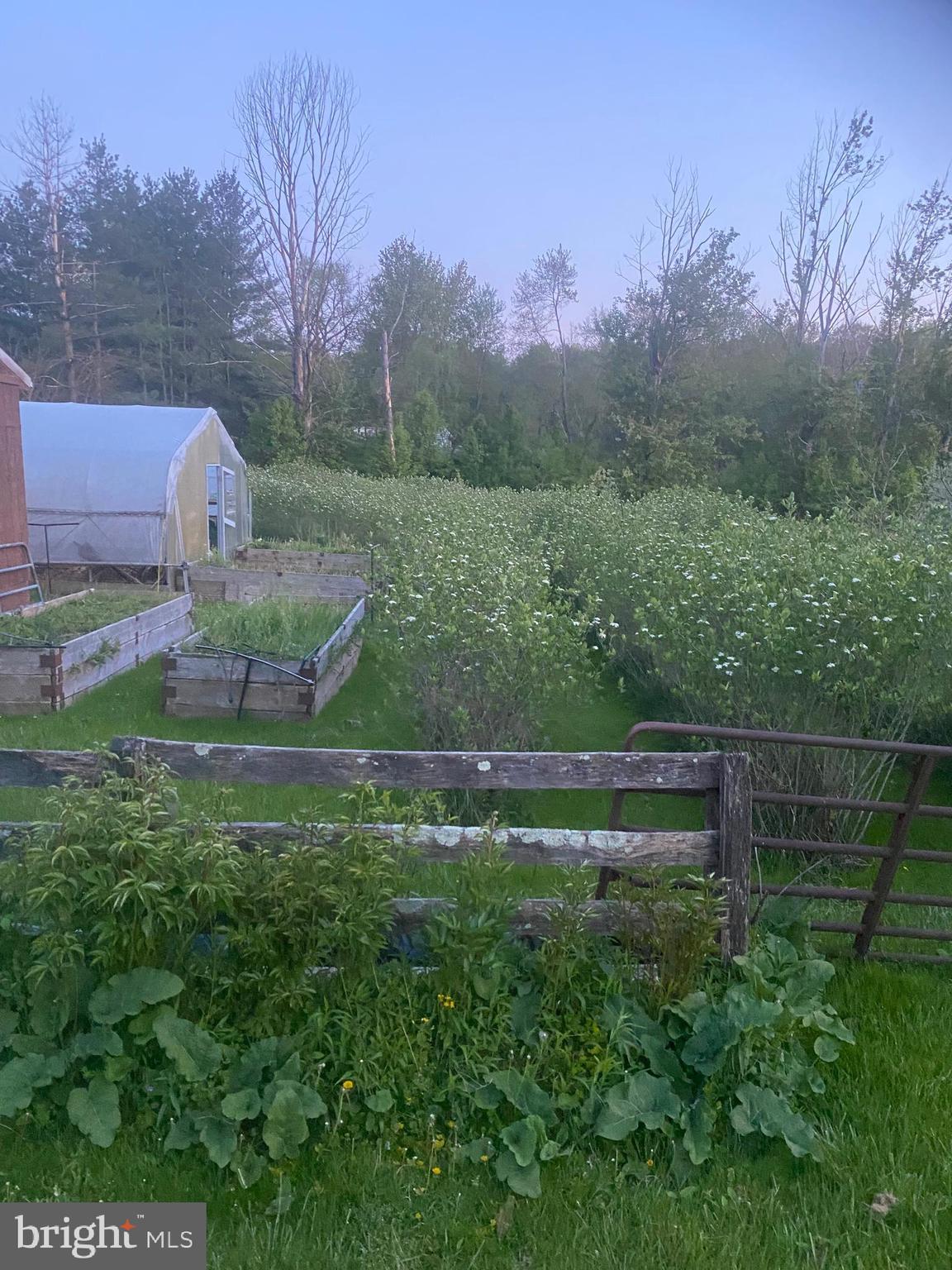 NONE AVAILABLE - Farm