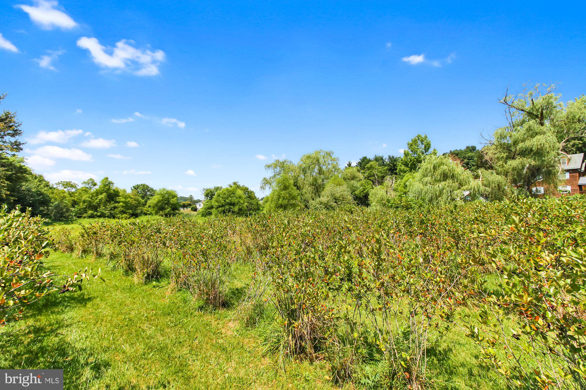 NONE AVAILABLE - Farm