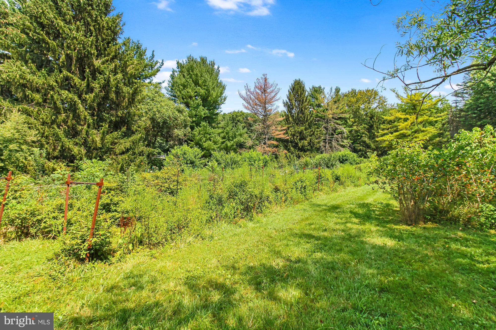 NONE AVAILABLE - Farm