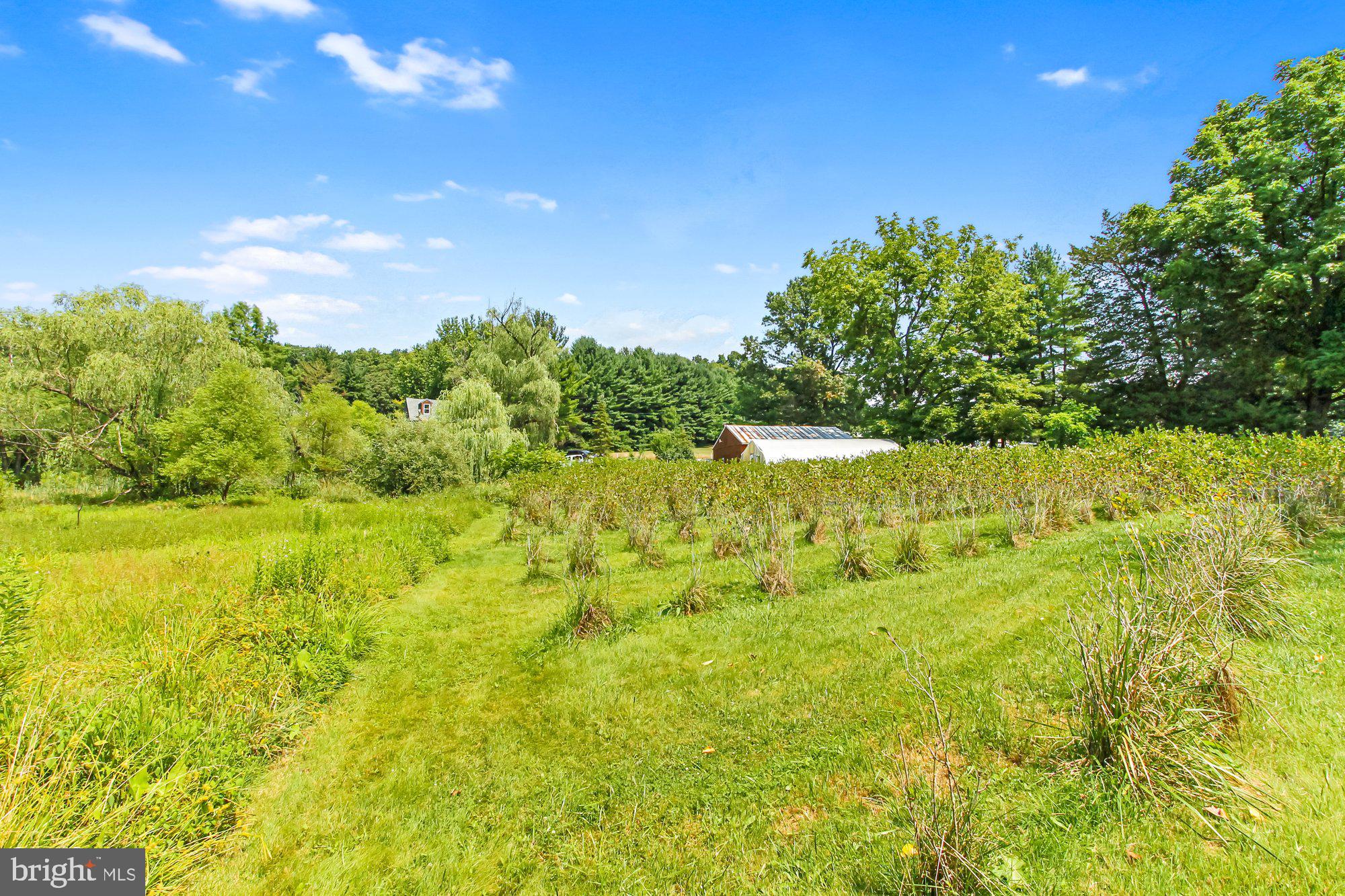 NONE AVAILABLE - Farm