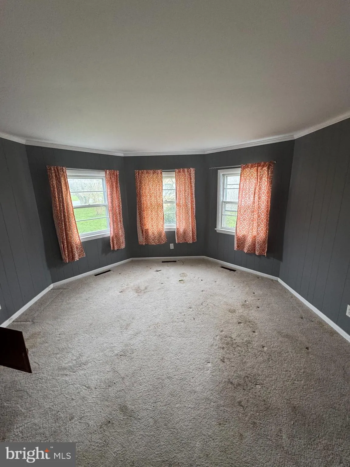 Additional image 19 of 5719 George Island Landing Road, Stockton, MD 21864