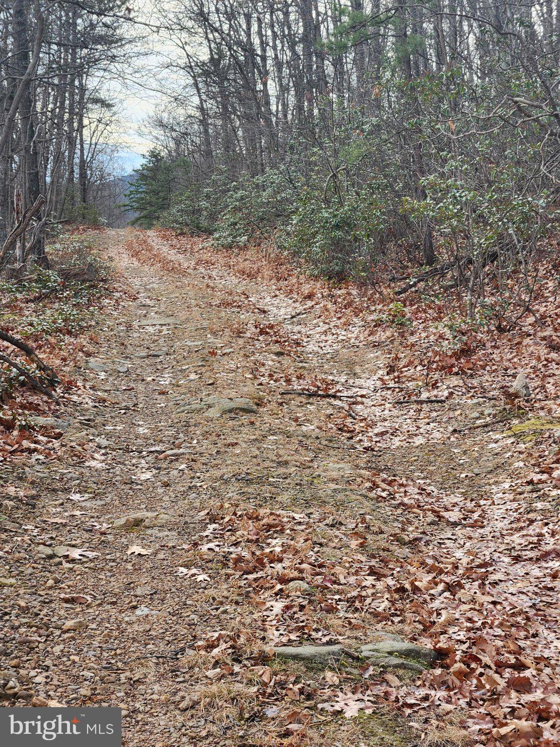 BELWORT TRAIL
