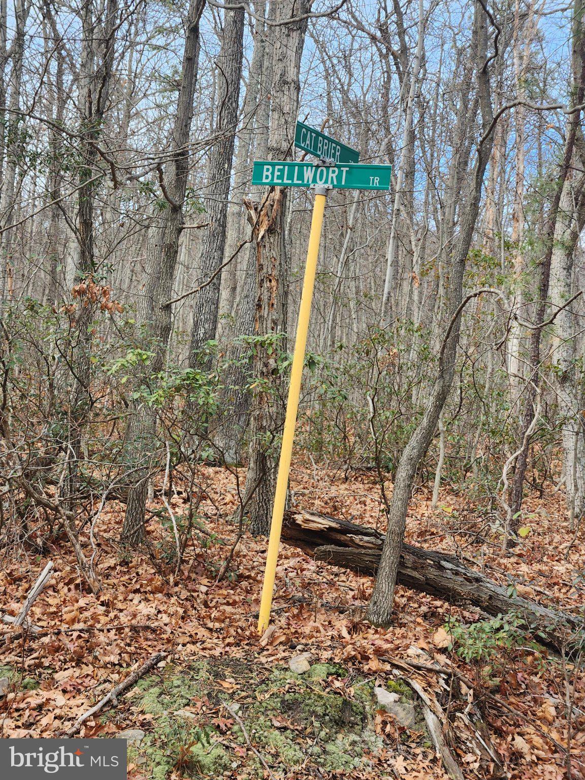 BELWORT TRAIL
