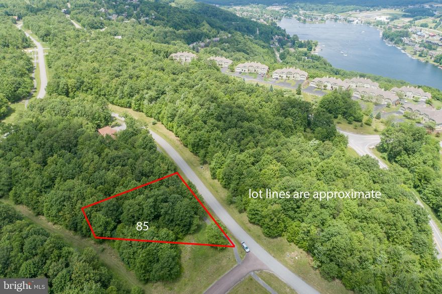 This centrally located lot is situated in the Highline II subdivision on top of Wisp Mountain. Build your dream home or mountain getaway on this level wooded lot. Just a short distance to ASCI and the top of the slopes! Tons of mountaintop community activities to choose from as well as all the Lake amenities and attractions. Take advantage of this spot to be close to it all and yet have some privacy !