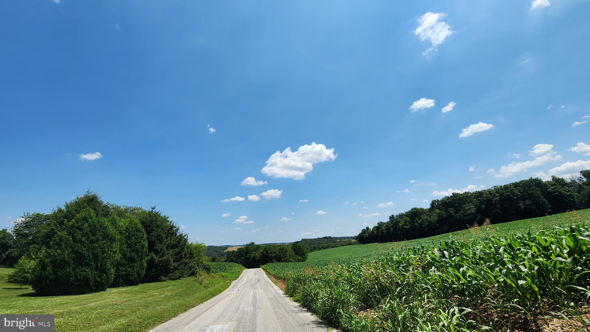 NONE AVAILABLE - Farm