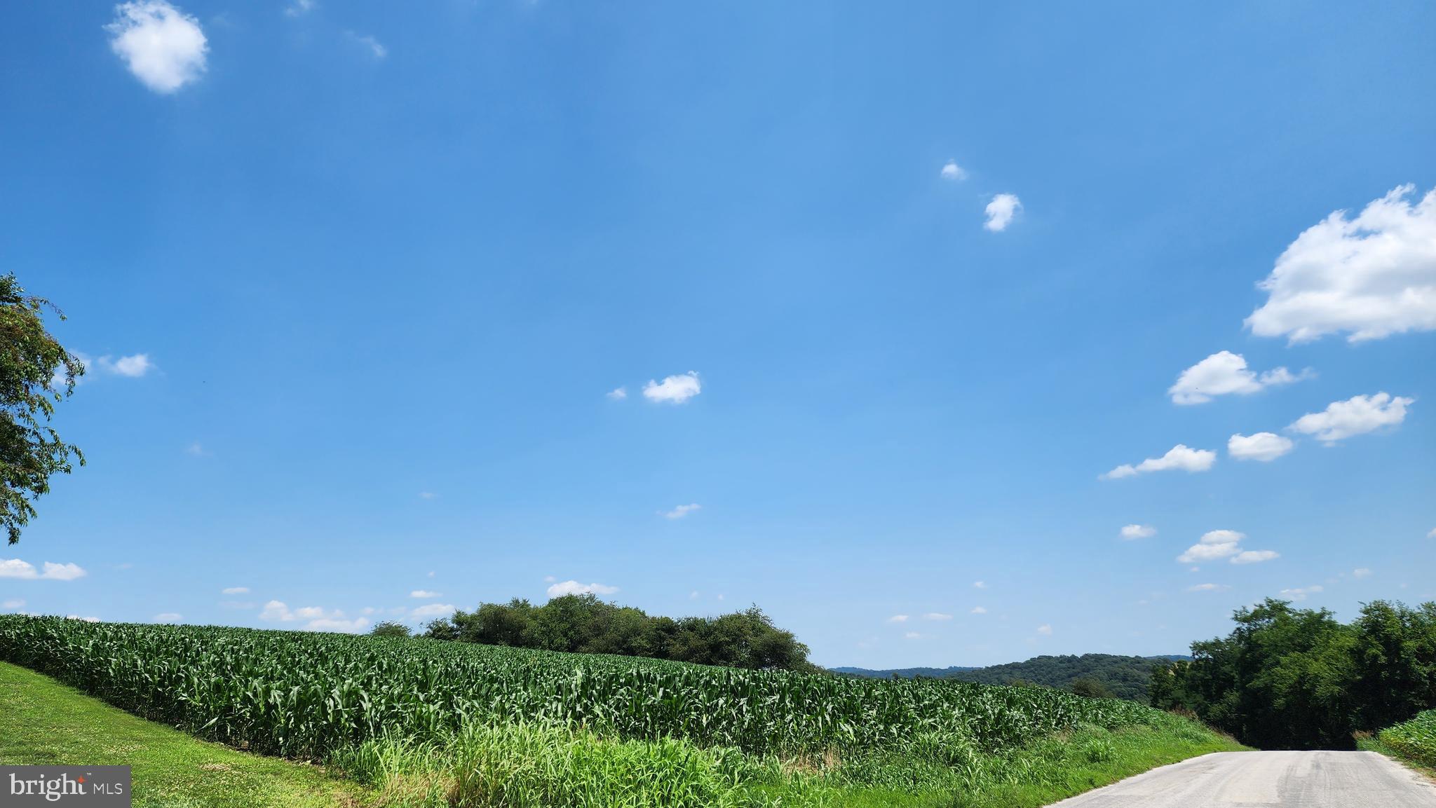 NONE AVAILABLE - Farm