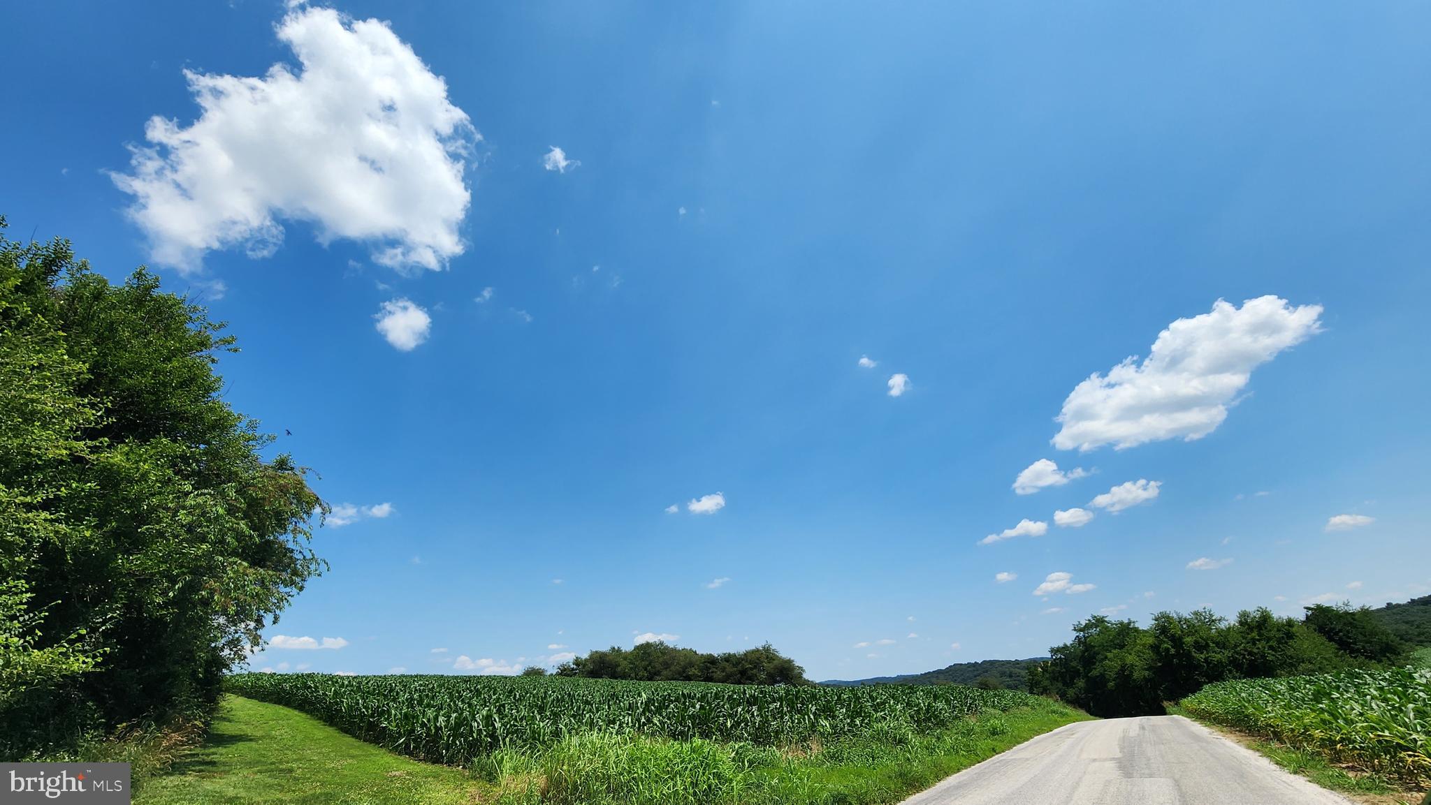 NONE AVAILABLE - Farm