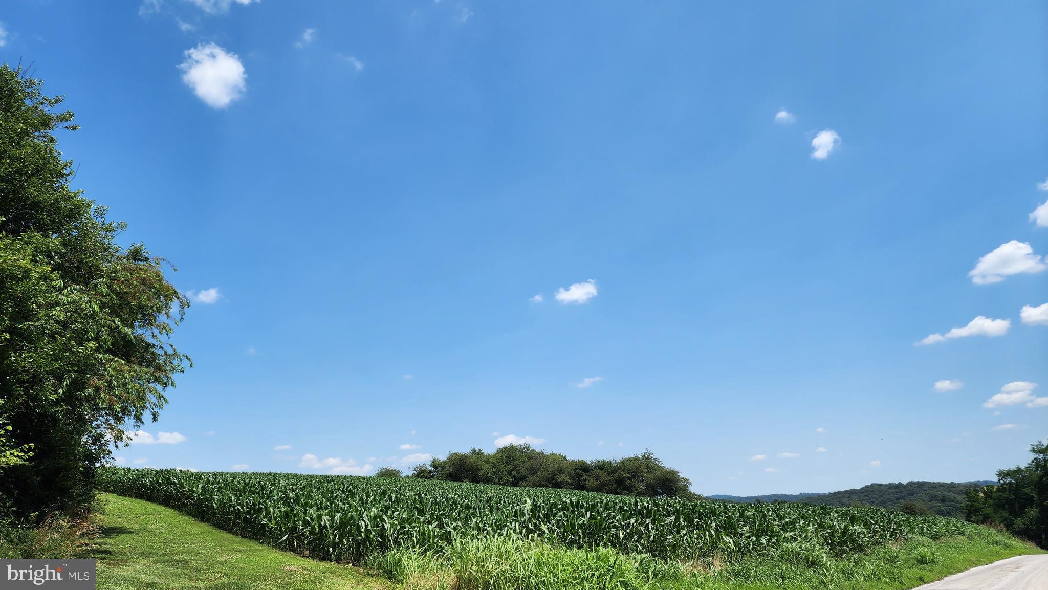 NONE AVAILABLE - Farm